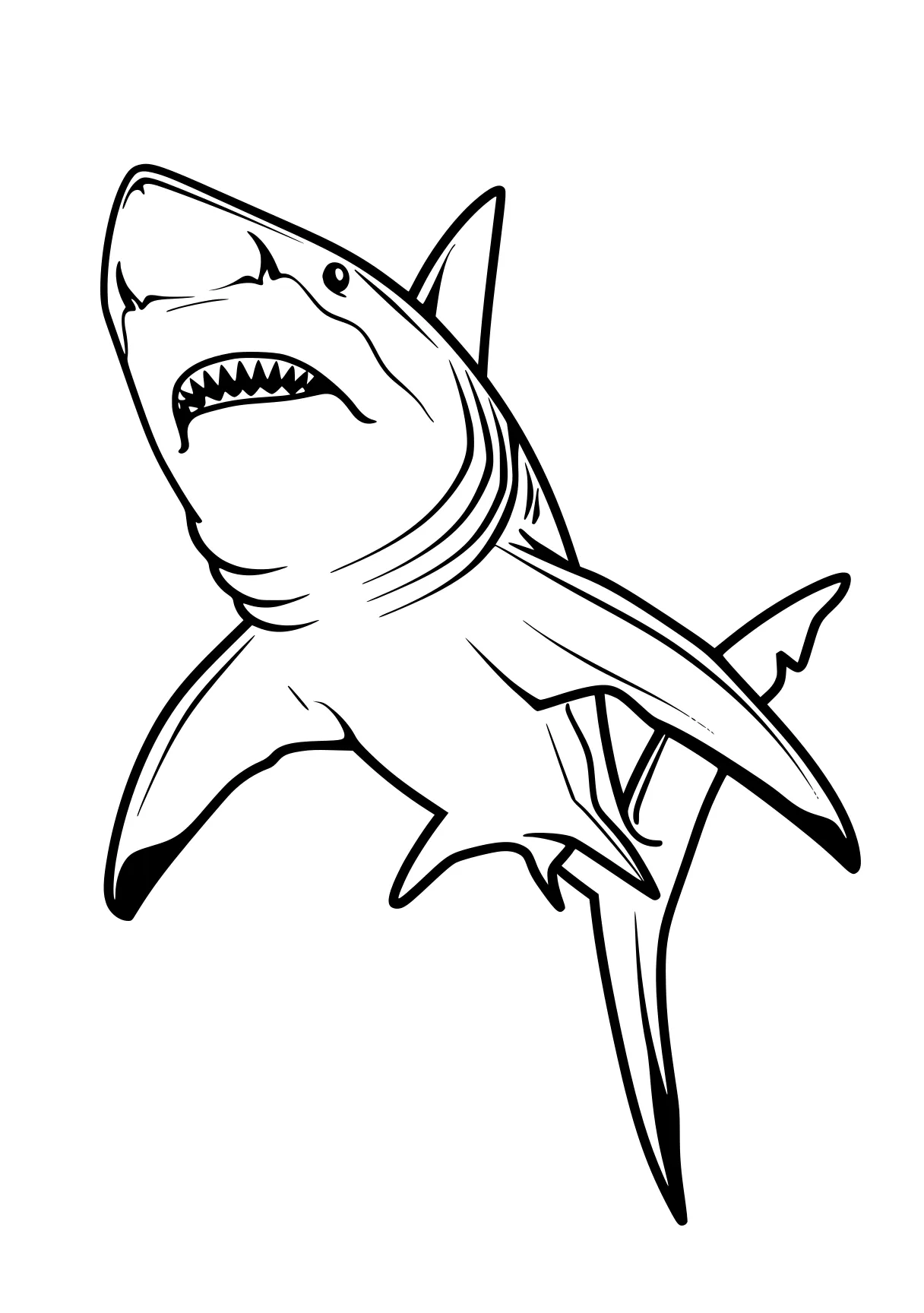 shark coloring sheet shark, sharks, megalodon, orca, dolphin, free page downloads