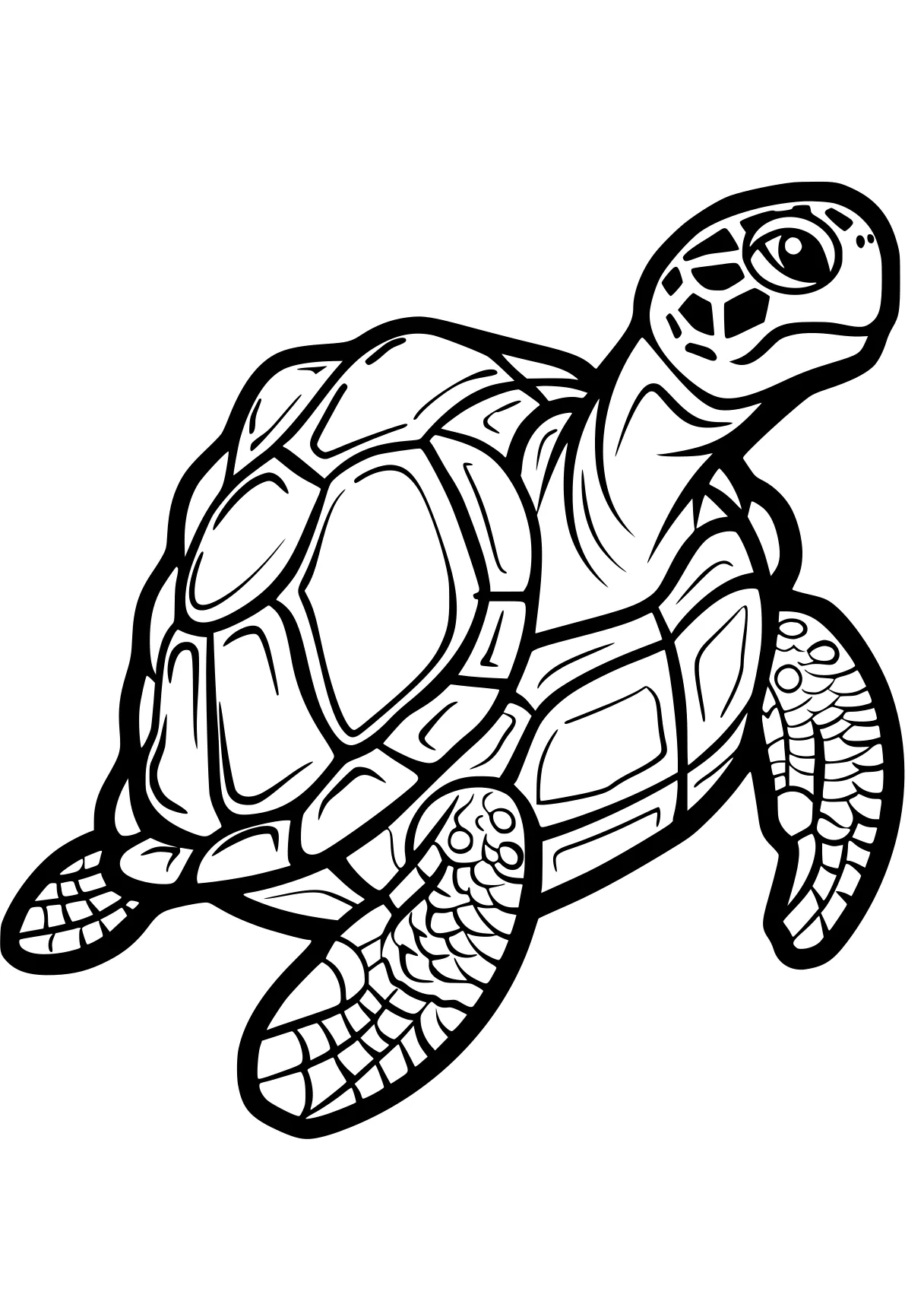 turtle coloring pages turtle, turtles, squirtle, illustrator, patrol, free page downloads