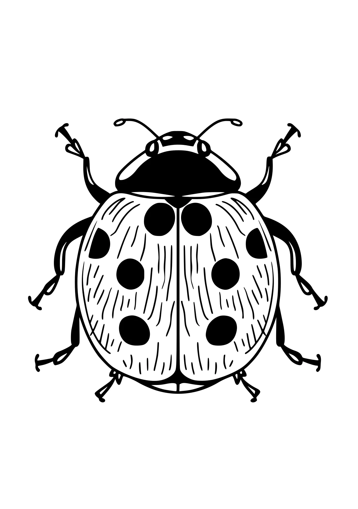 ladybug coloring page ladybug, insect, bee, insects, bugs, free downloads