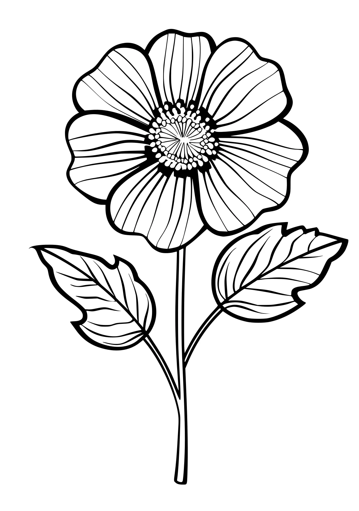 a flower coloring pages flower, poppy, flowers, free page downloads