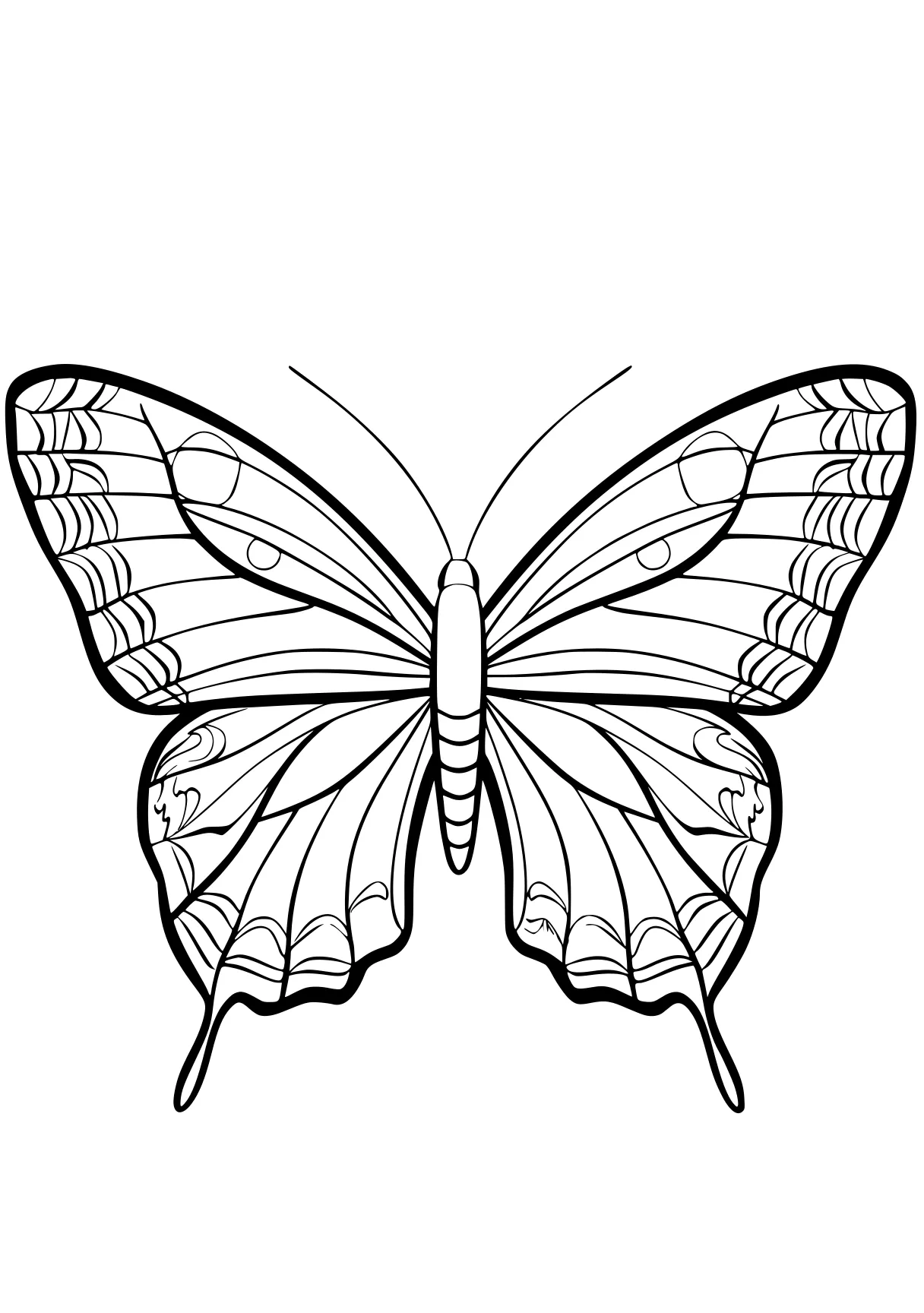 butterfly coloring sheet butterfly, butterflies, insect, adult, wings, free page downloads