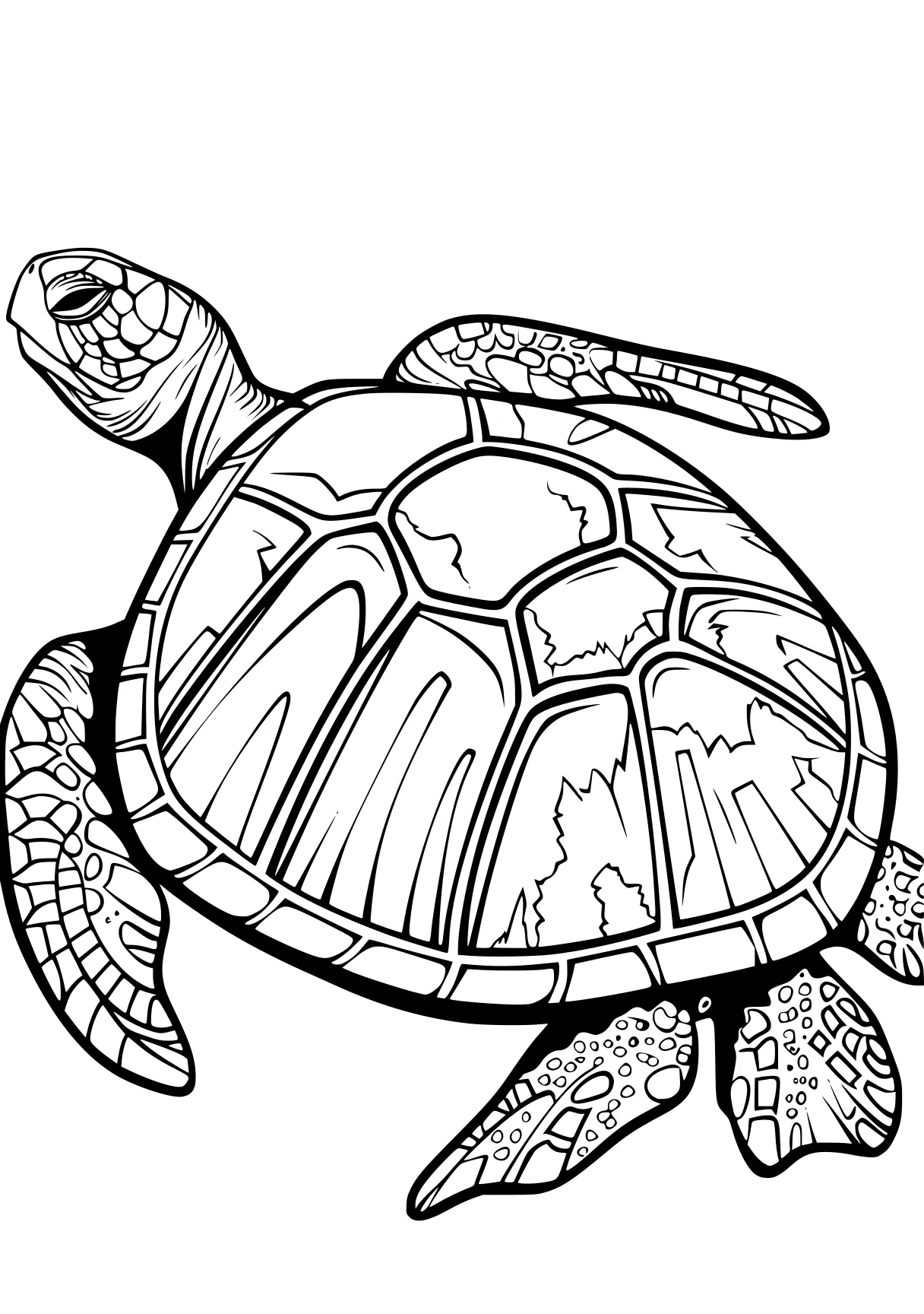 turtle pictures to color turtle, turtles, ankylosaurus, free coloring page downloads