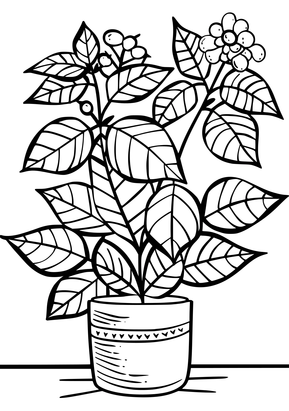 plant coloring pages, plant, plants, zacchaeus, free page downloads