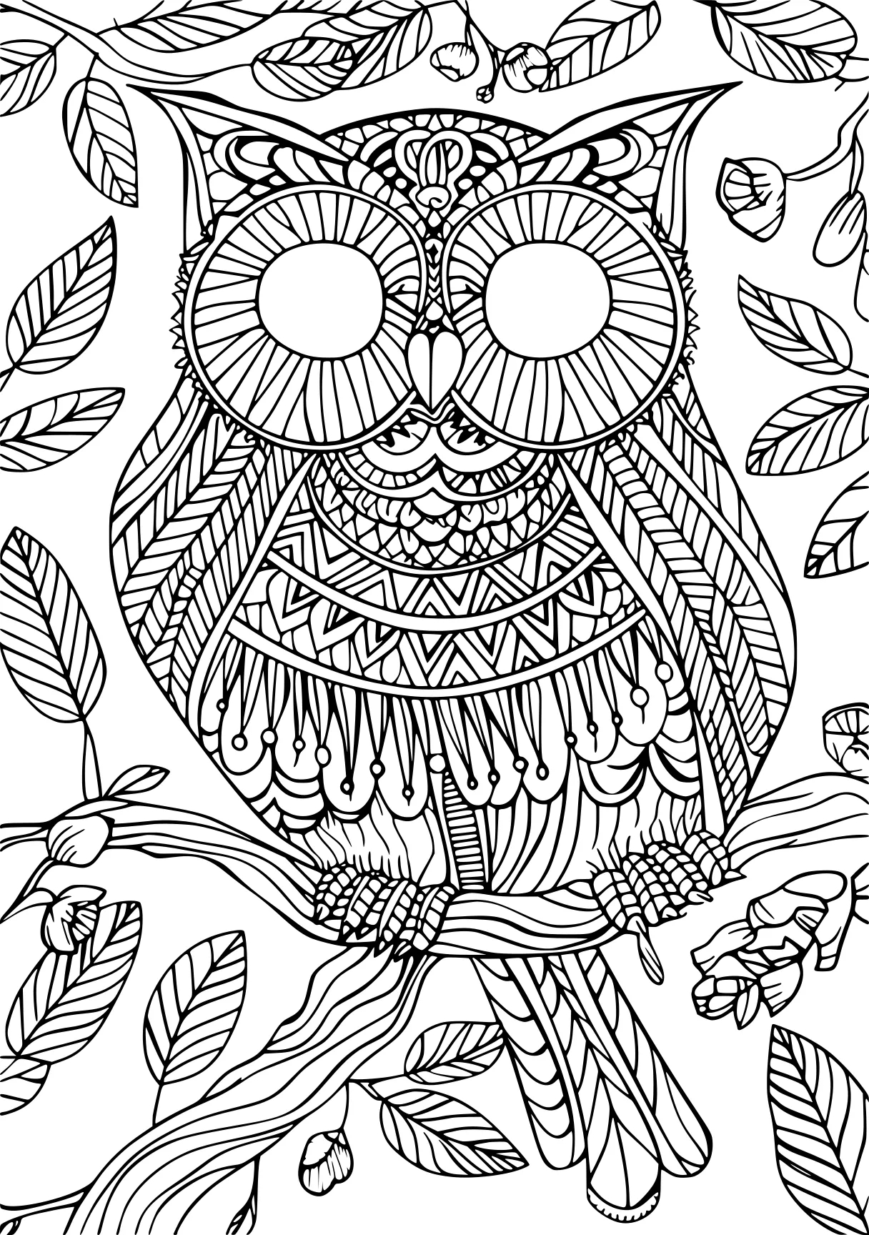 adult coloring pages owl, zentangle, colouring, free page downloads