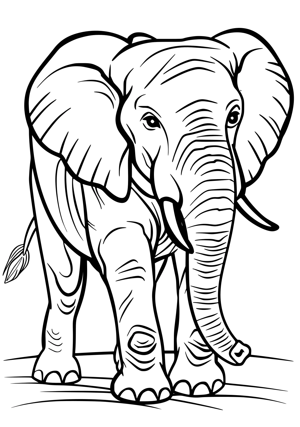 elephant coloring sheet elephant, dumbo, size, illustrator, circus, free page downloads