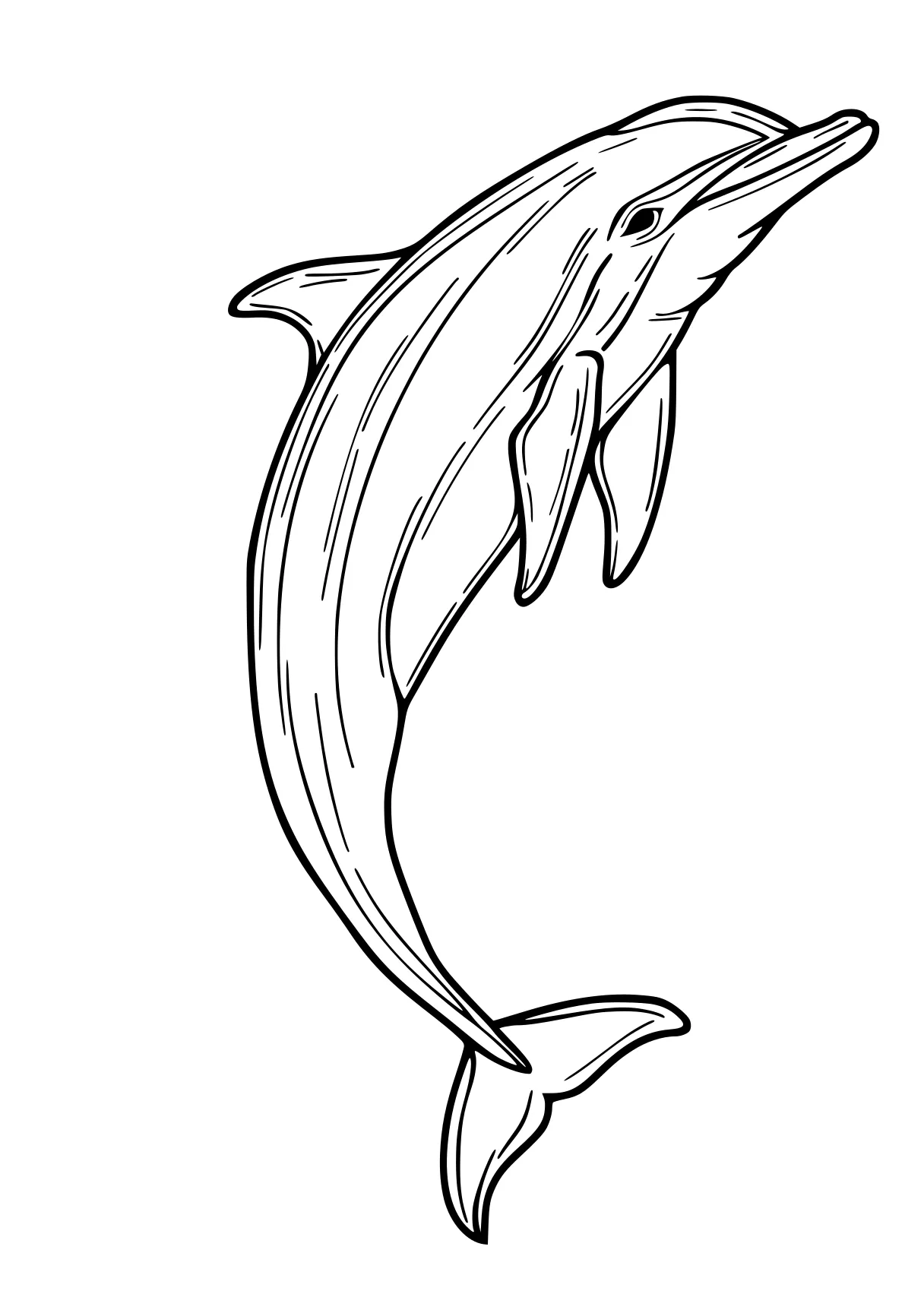 dolphin coloring pages dolphin, whale, orca, narwhal, fish, free page downloads