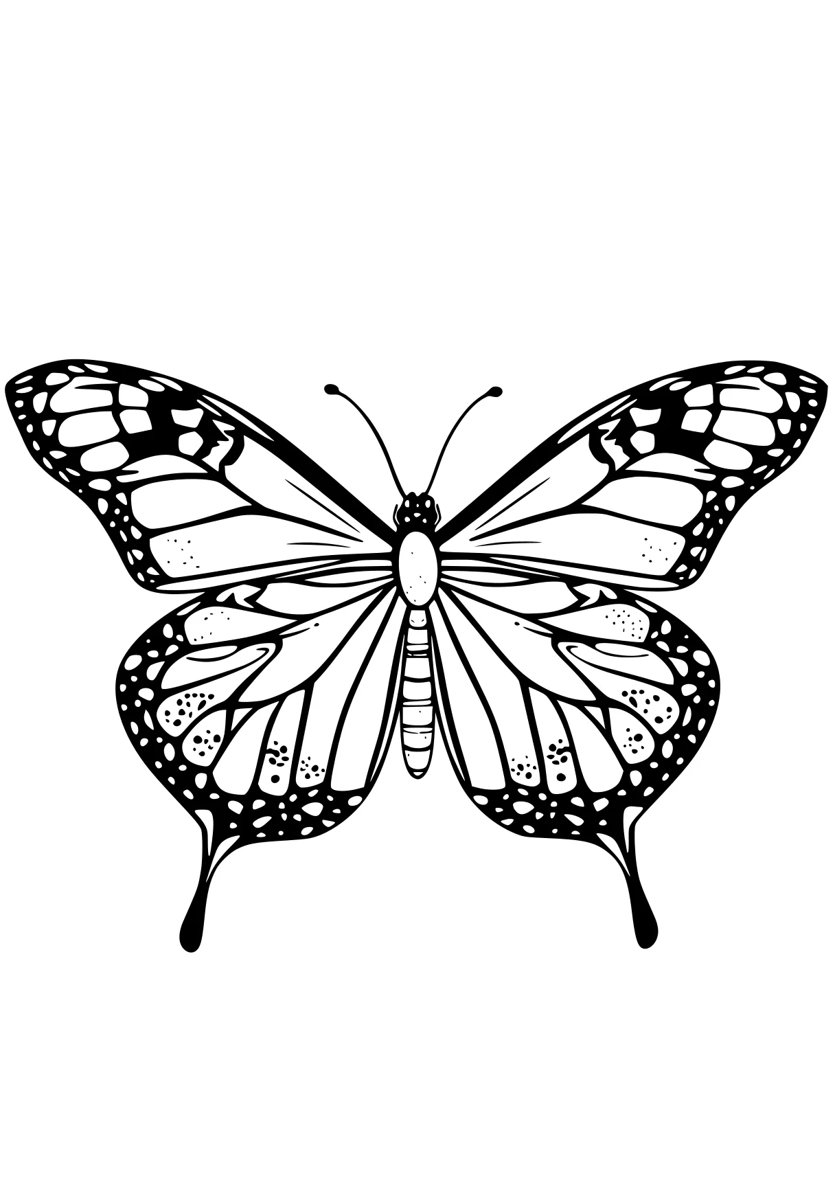 butterfly coloring pages butterfly, butterflies, insect, adult, insects, free page downloads