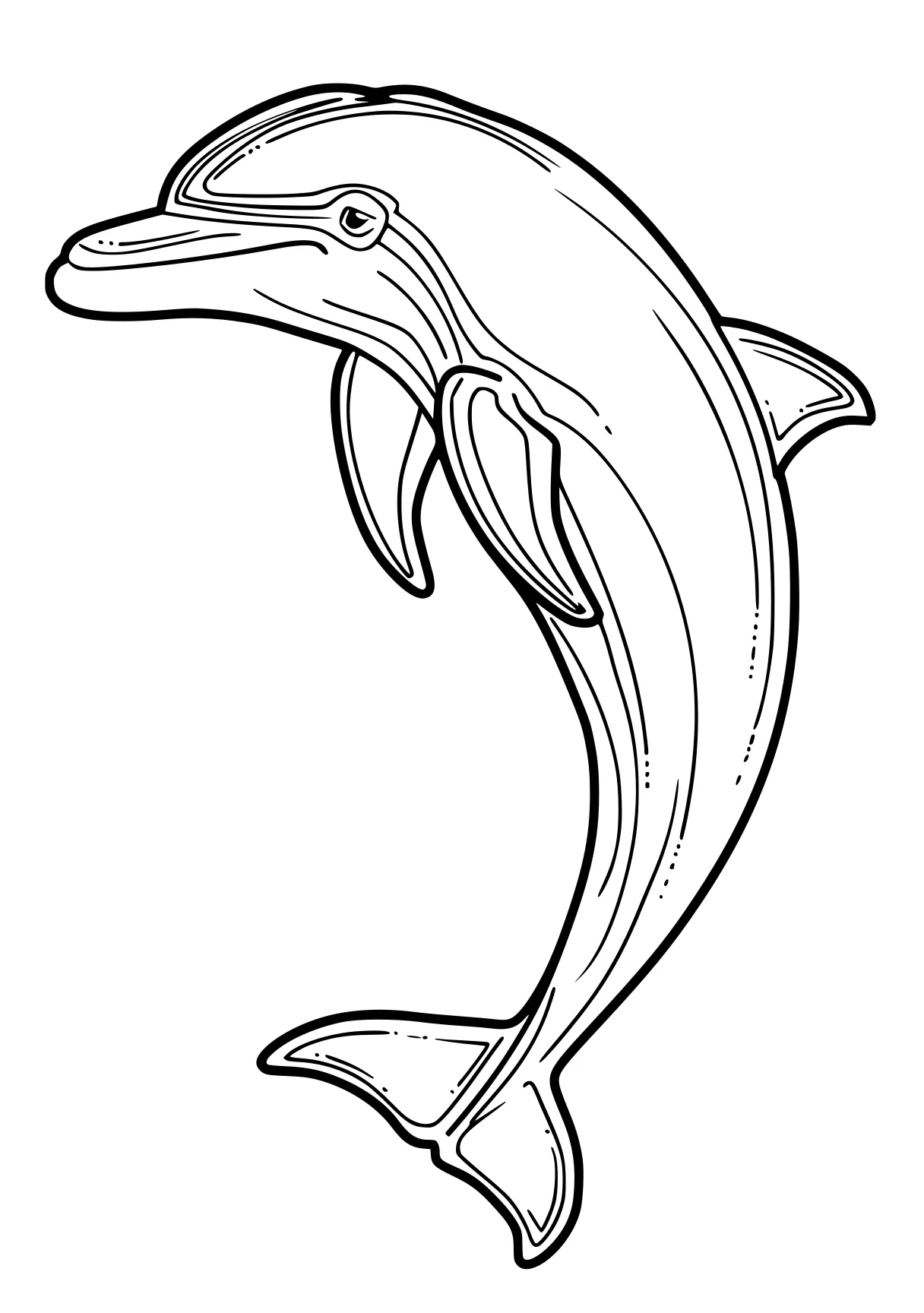 dolphin coloring pages dolphin, whale, orca, whales, narwhal, free page downloads