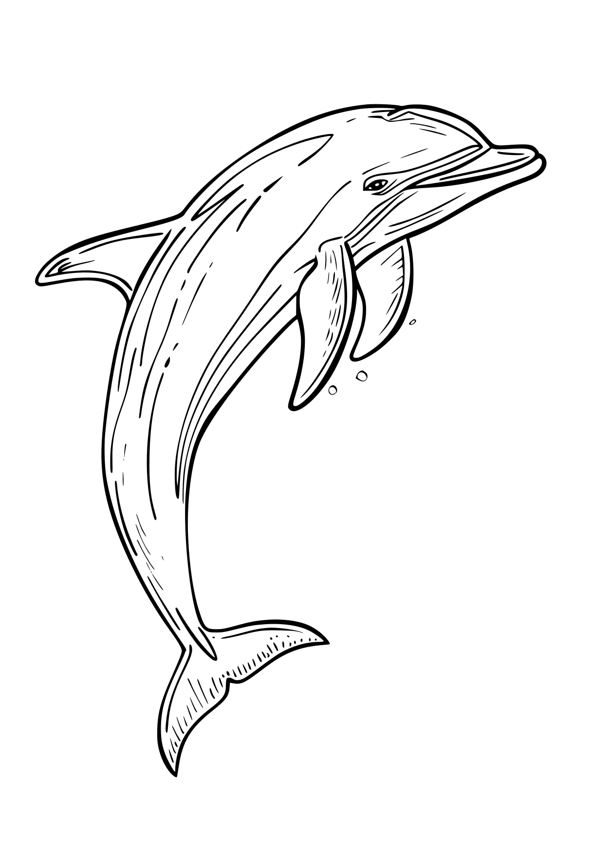 dolphin coloring pages dolphin, whale, whales, orca, mosasaurus, free page downloads