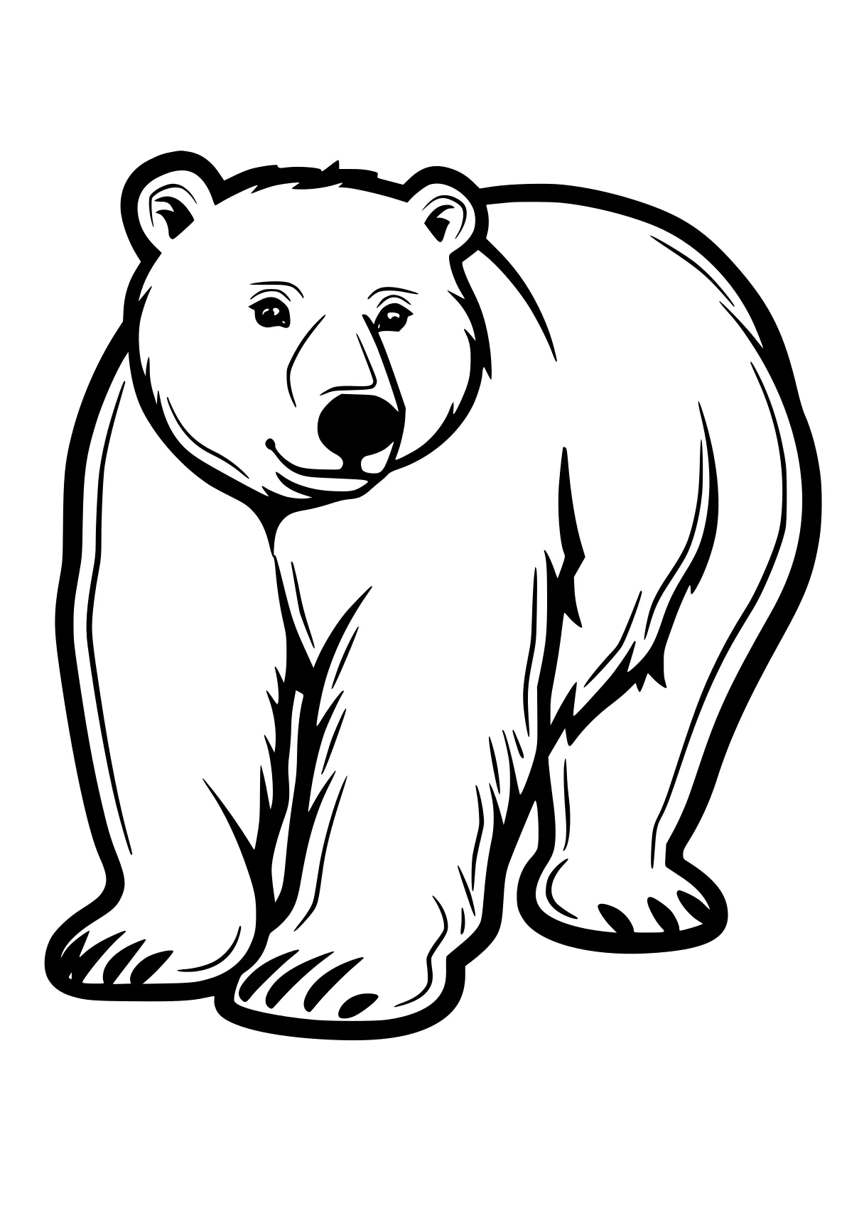 bear coloring page bear, polar, bears, winnie, illustrator, free downloads