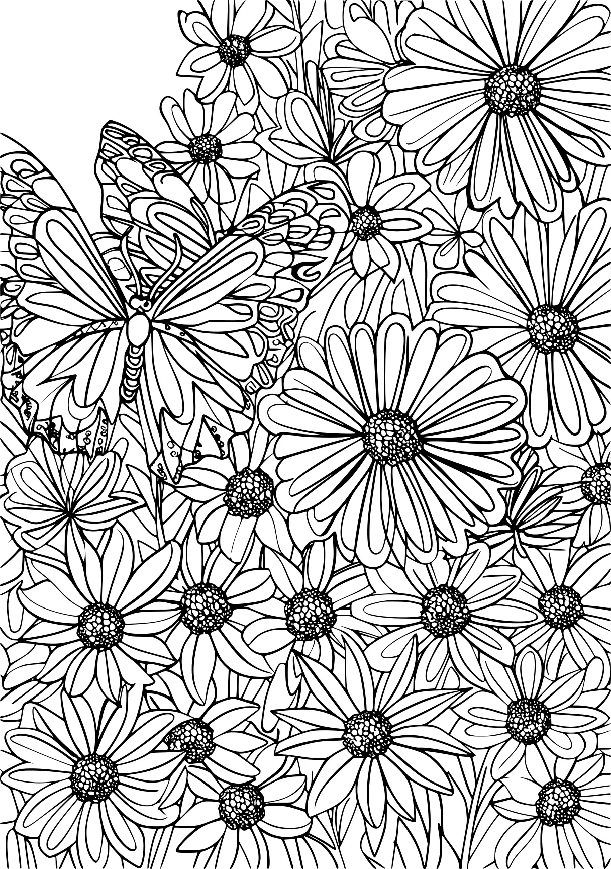 coloring sheets for adults, zentangle, sunflower, pattern, free page downloads