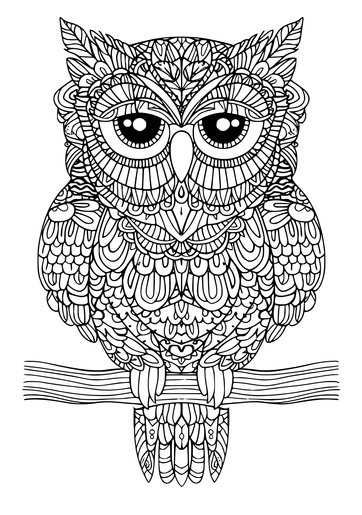 adult coloring books online owl, illustrator, zentangle, free page downloads