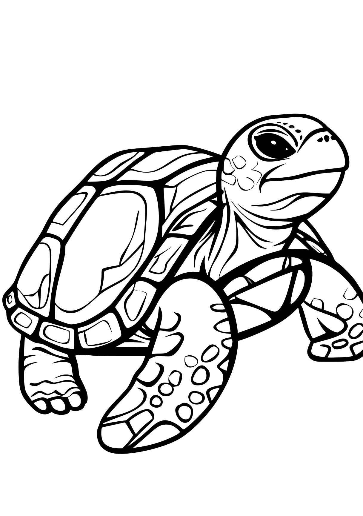 turtle coloring sheet turtle, turtles, squirtle, free page downloads