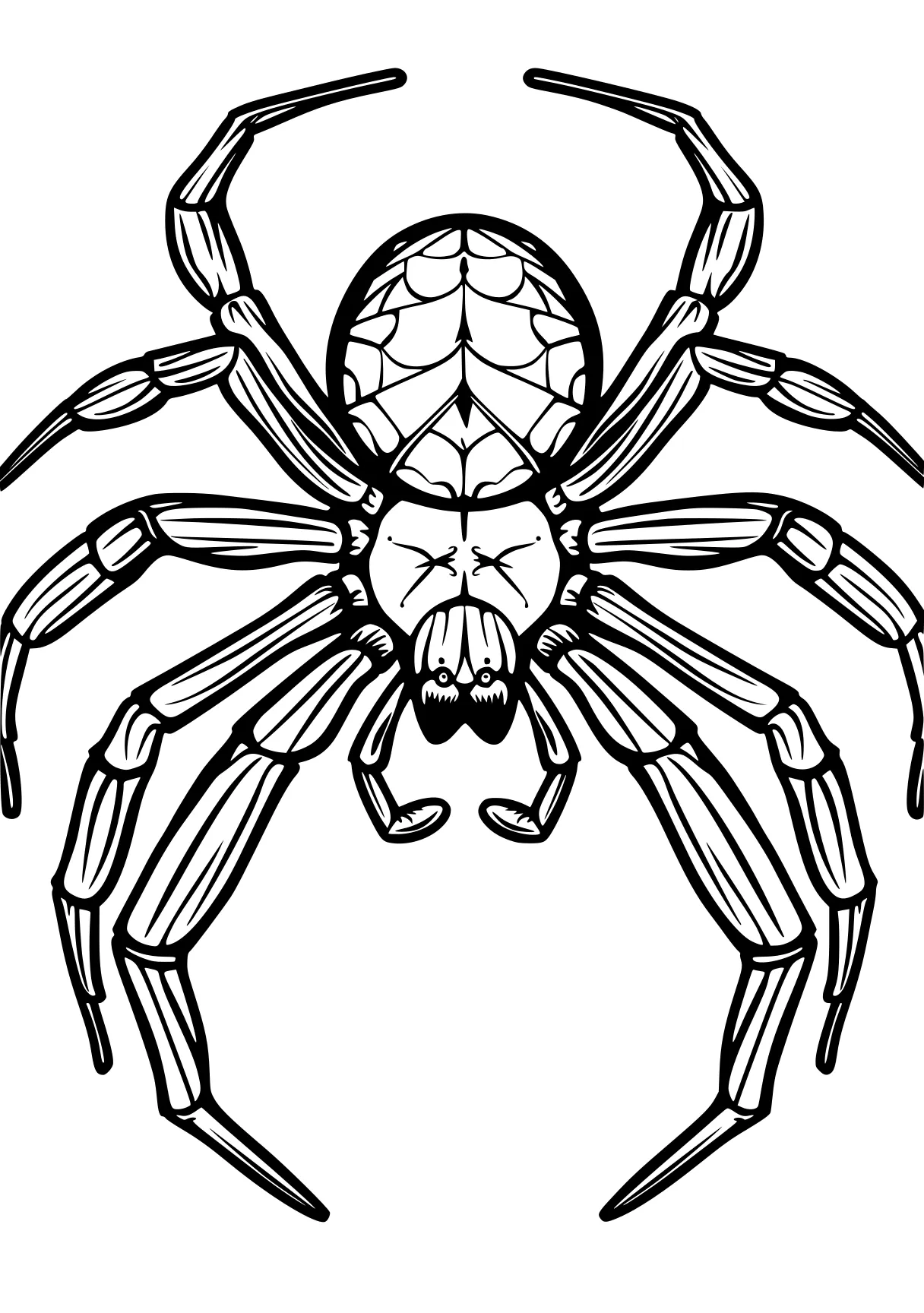 spider coloring page spider, crawler, scorpion, crab, size, free downloads