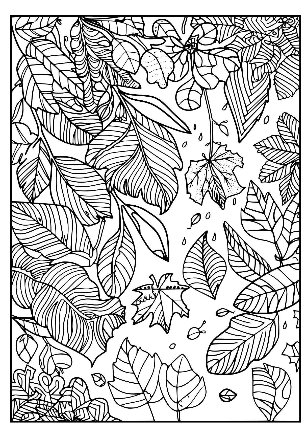 fall coloring pages, colouring, plants, zentangle, free page downloads