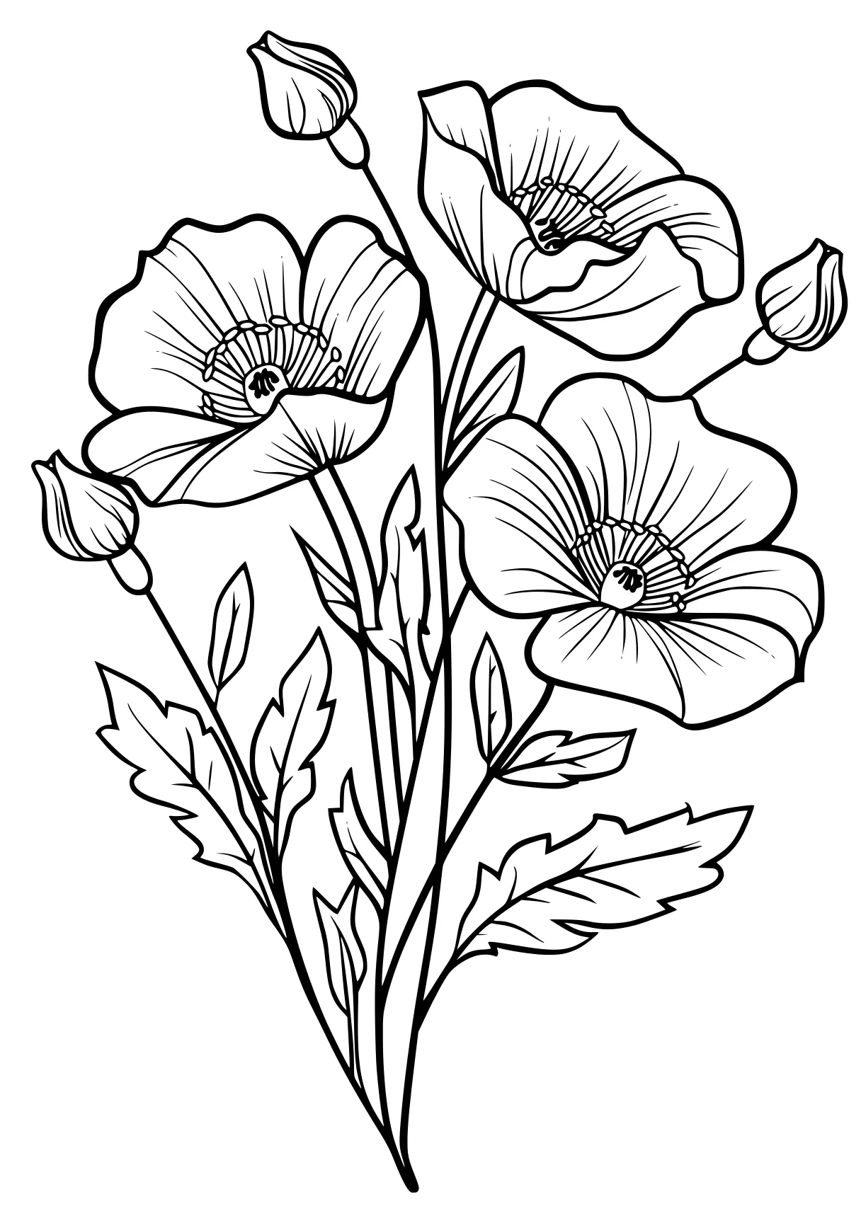 printable flower coloring pages, flowers, flower, plant, free page downloads