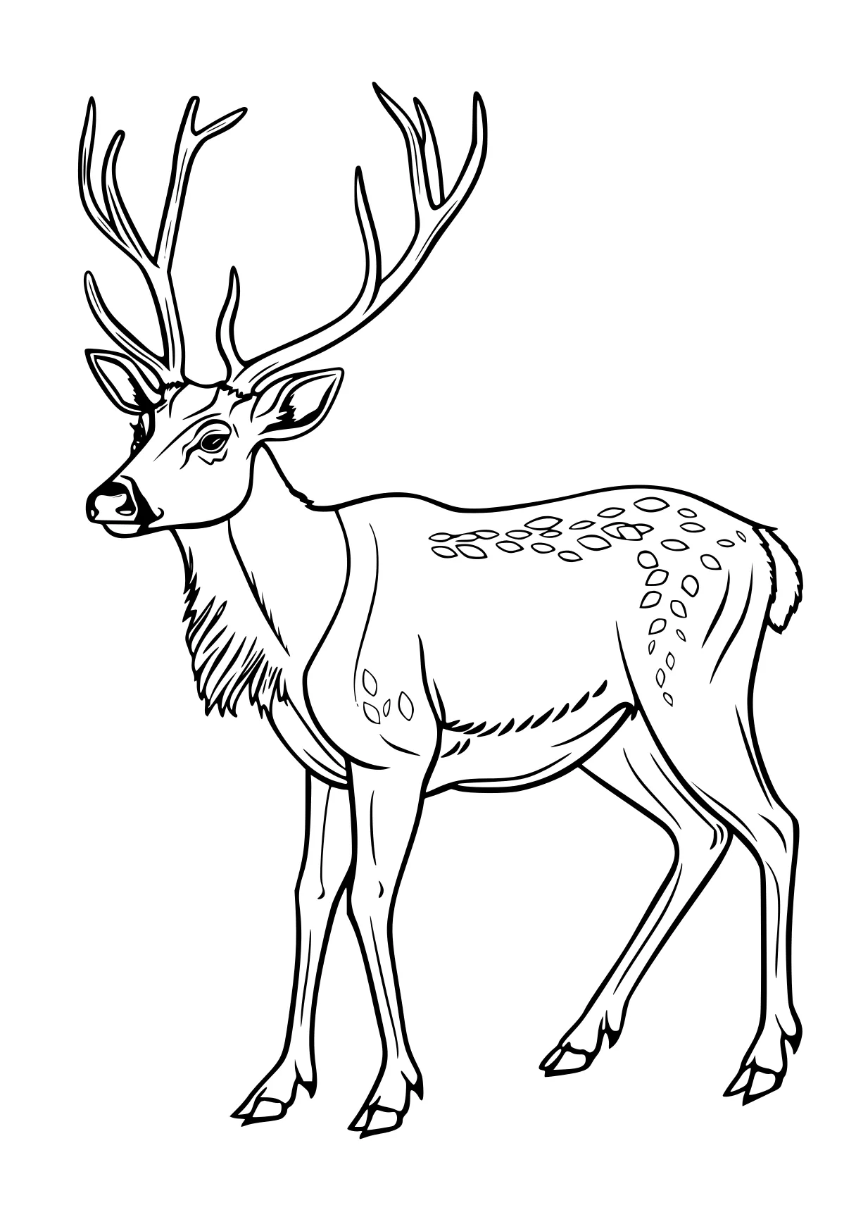 reindeer coloring page deer, rudolph, reindeer, bambi, illustrator, free downloads