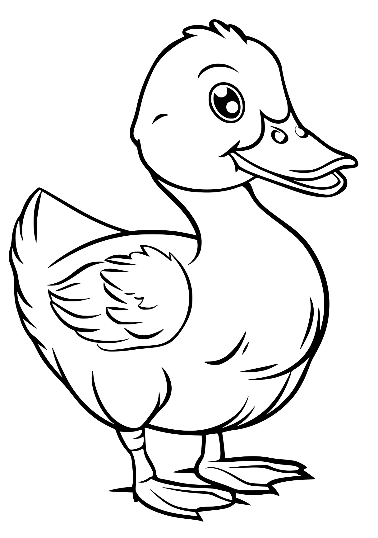 duck coloring pages duck, bird, chick, donald, rooster, free page downloads