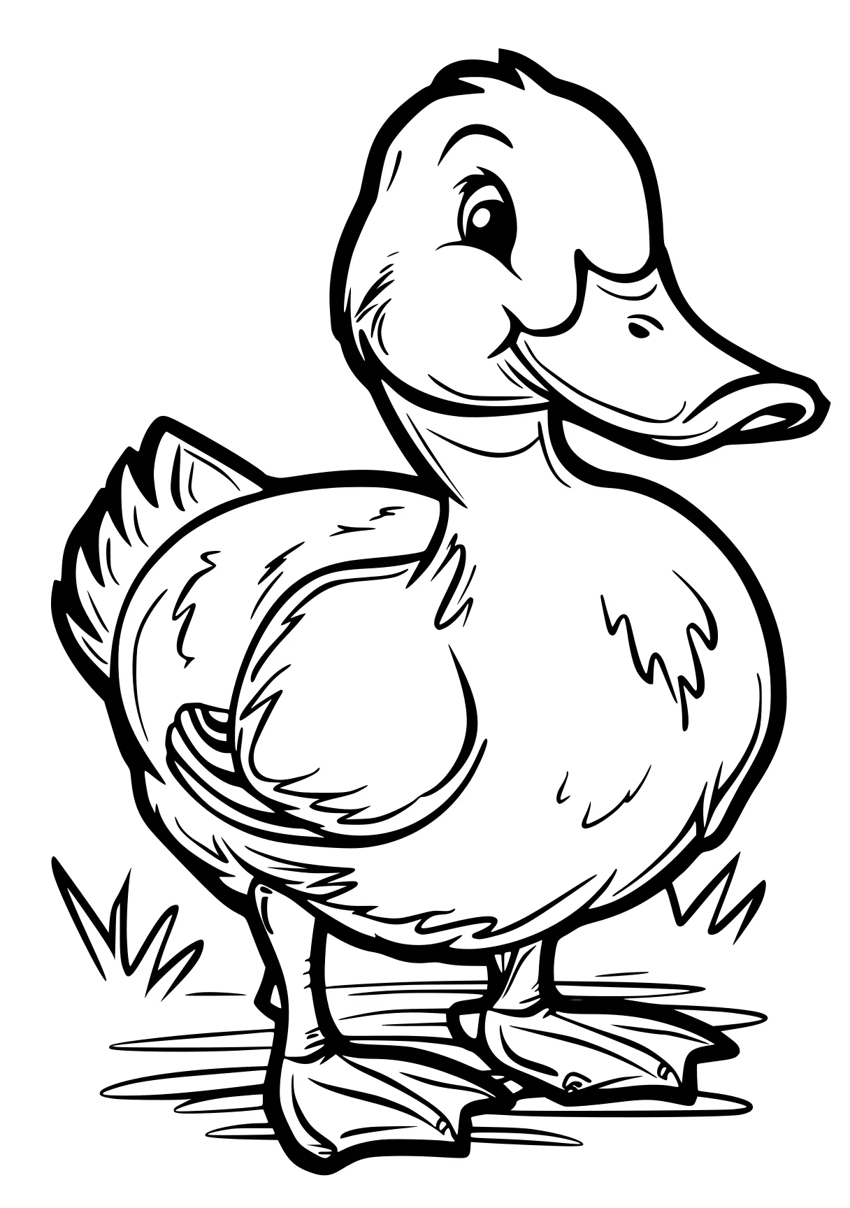 duck coloring page duck, donald, bird, chick, ock, free downloads