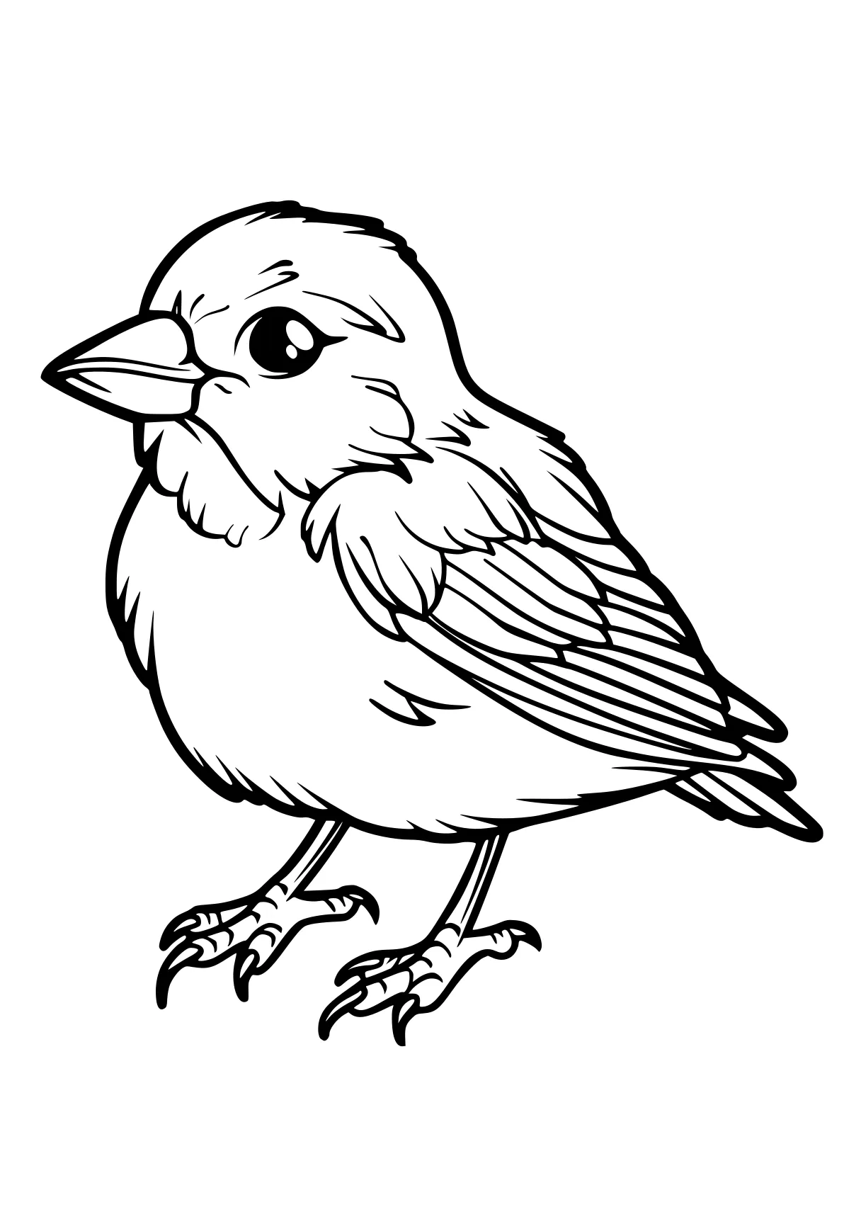 coloring pages printable bird, cardinal, robin, birds, chick, free page downloads