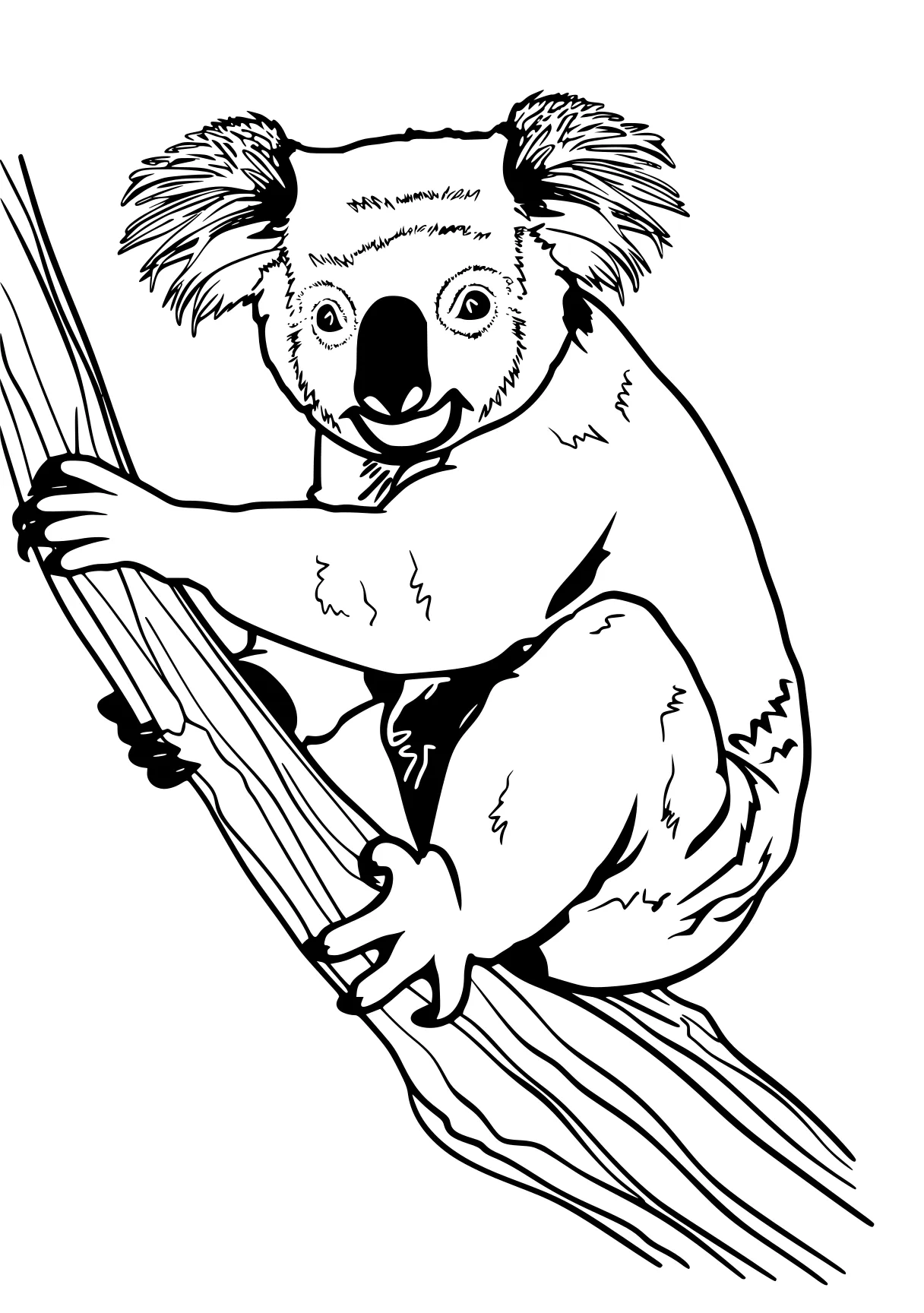 koala coloring page koala, sloth, bear, monkey, raccoon, free downloads