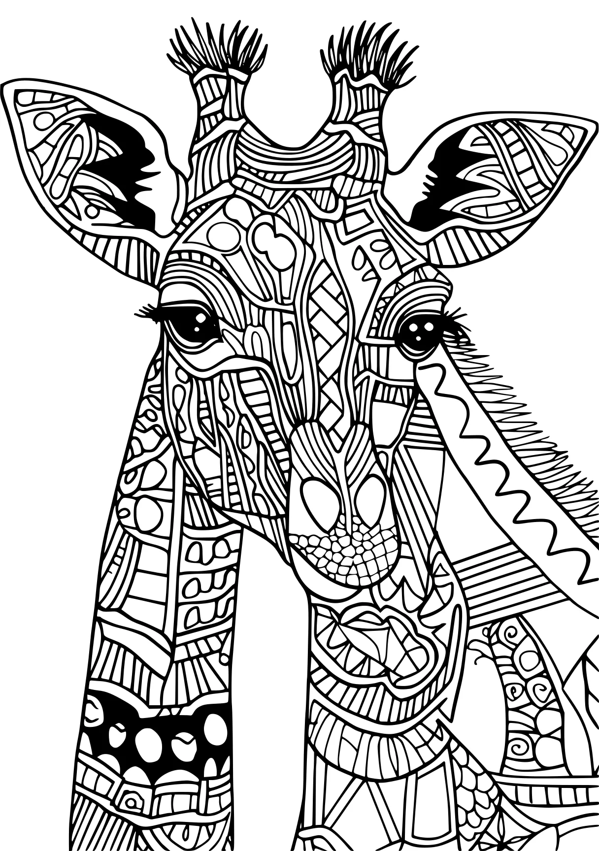 adult coloring book pages zentangle, elephant, giraffe, free page downloads