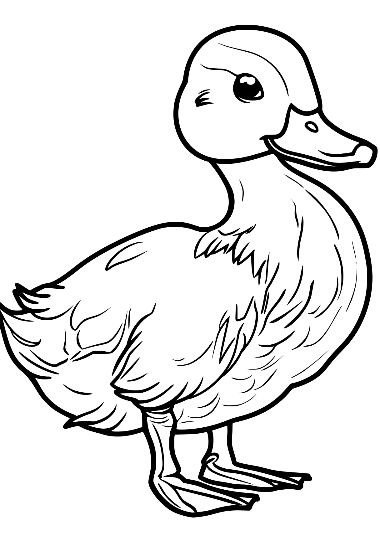 duck coloring page duck, bird, crane, donald, chick, free downloads