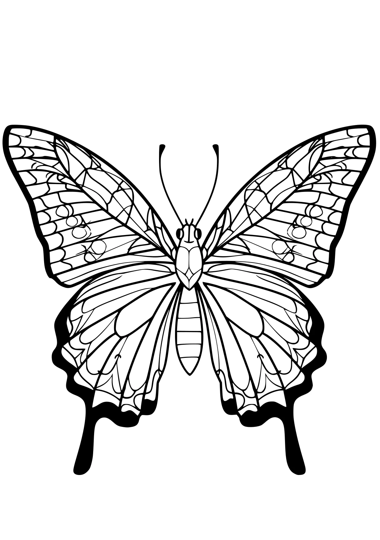 butterfly coloring butterfly, insect, adult, butterflies, insects, free page downloads