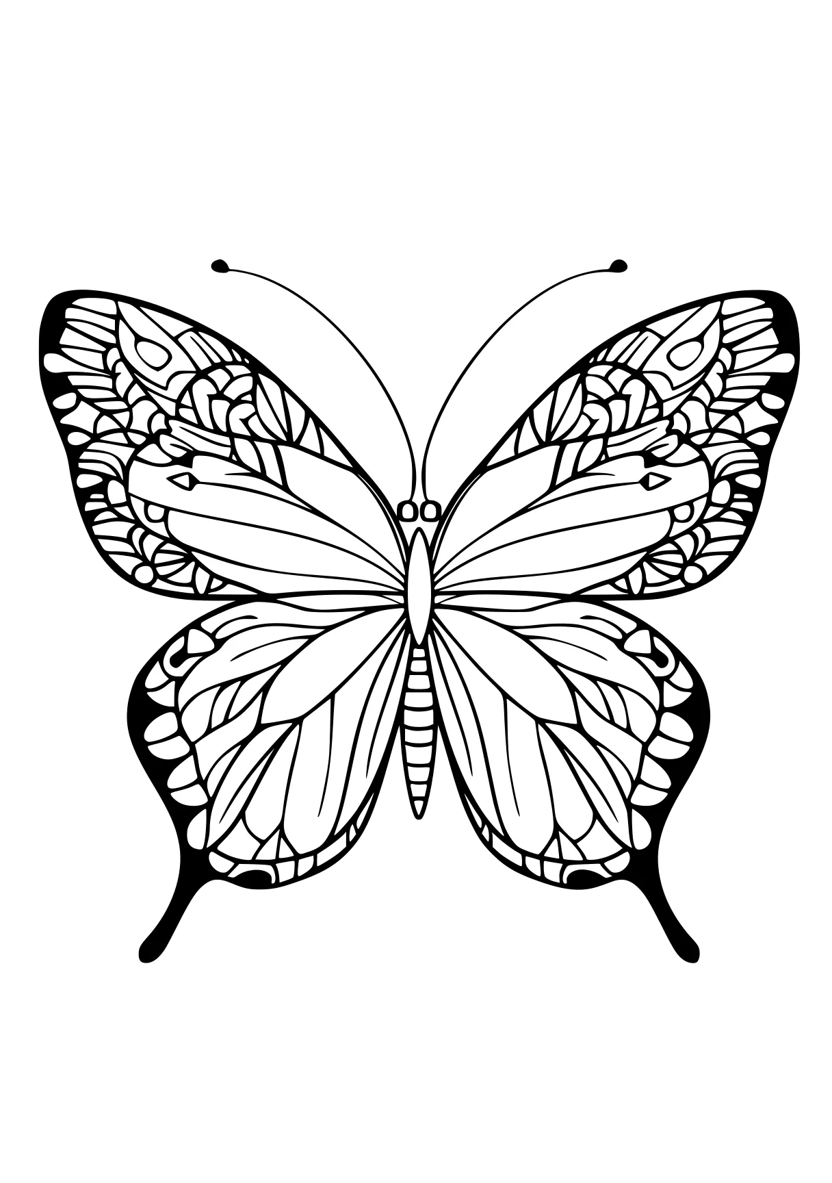 butterfly coloring pages butterfly, butterflies, insect, illustrator, free page downloads