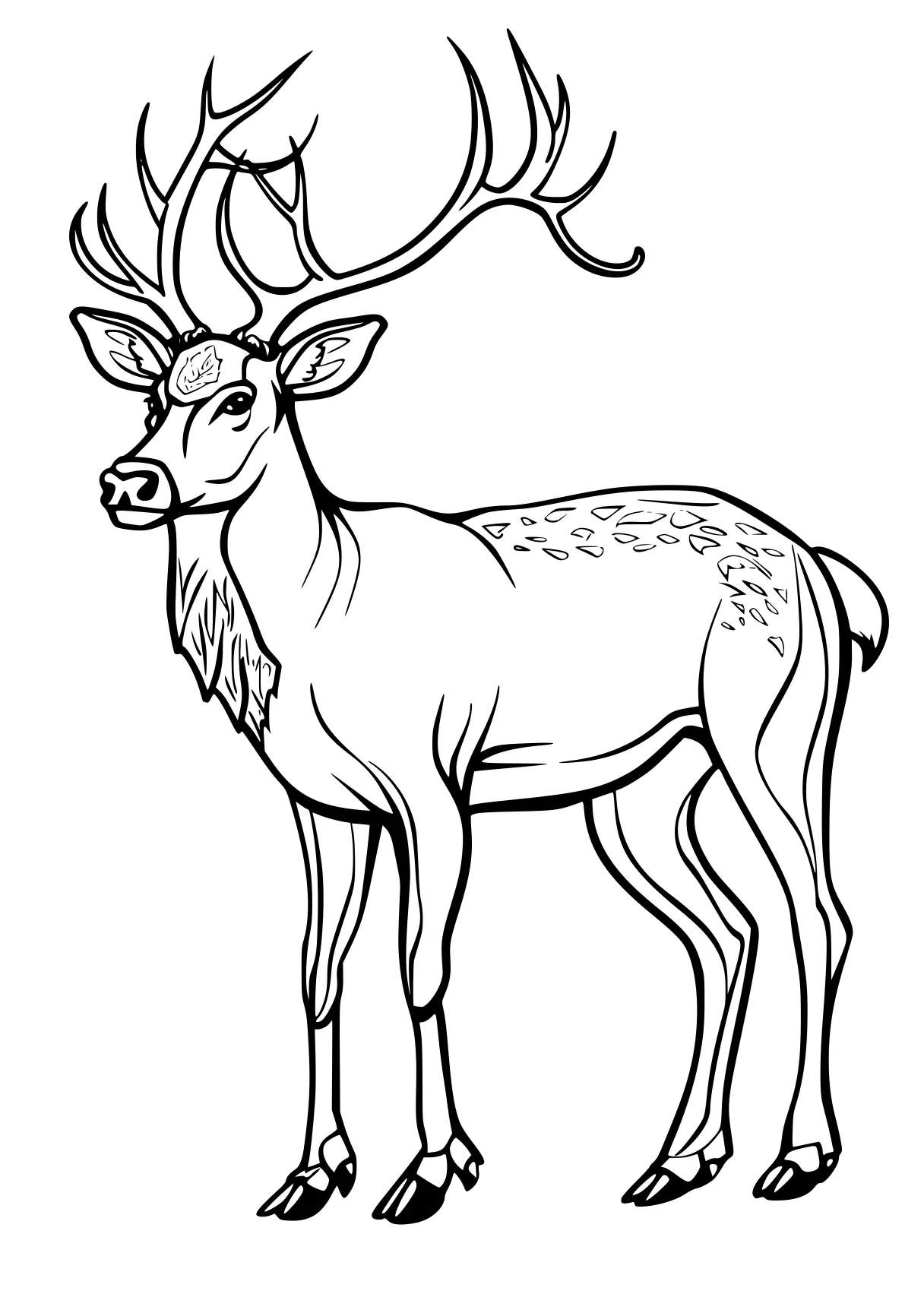 reindeer coloring page deer, reindeer, rudolph, bambi, illustrator, free downloads