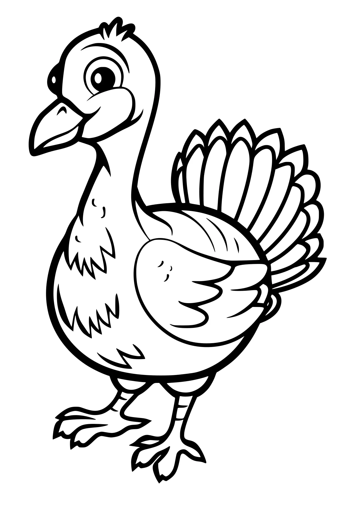 turkey coloring sheet rooster, turkey, thanksgiving, chick, free page downloads