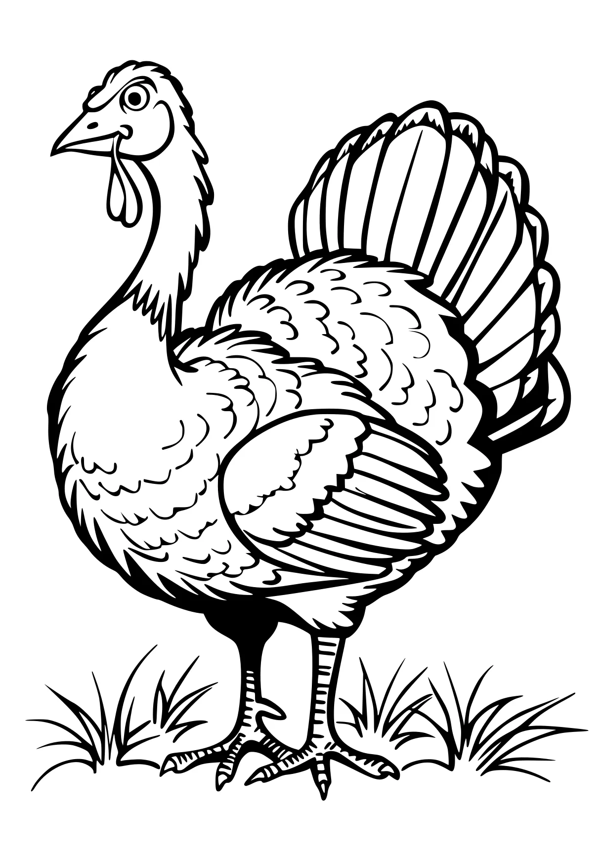 turkey coloring pages rooster, thanksgiving, turkey, size, chick, free page downloads