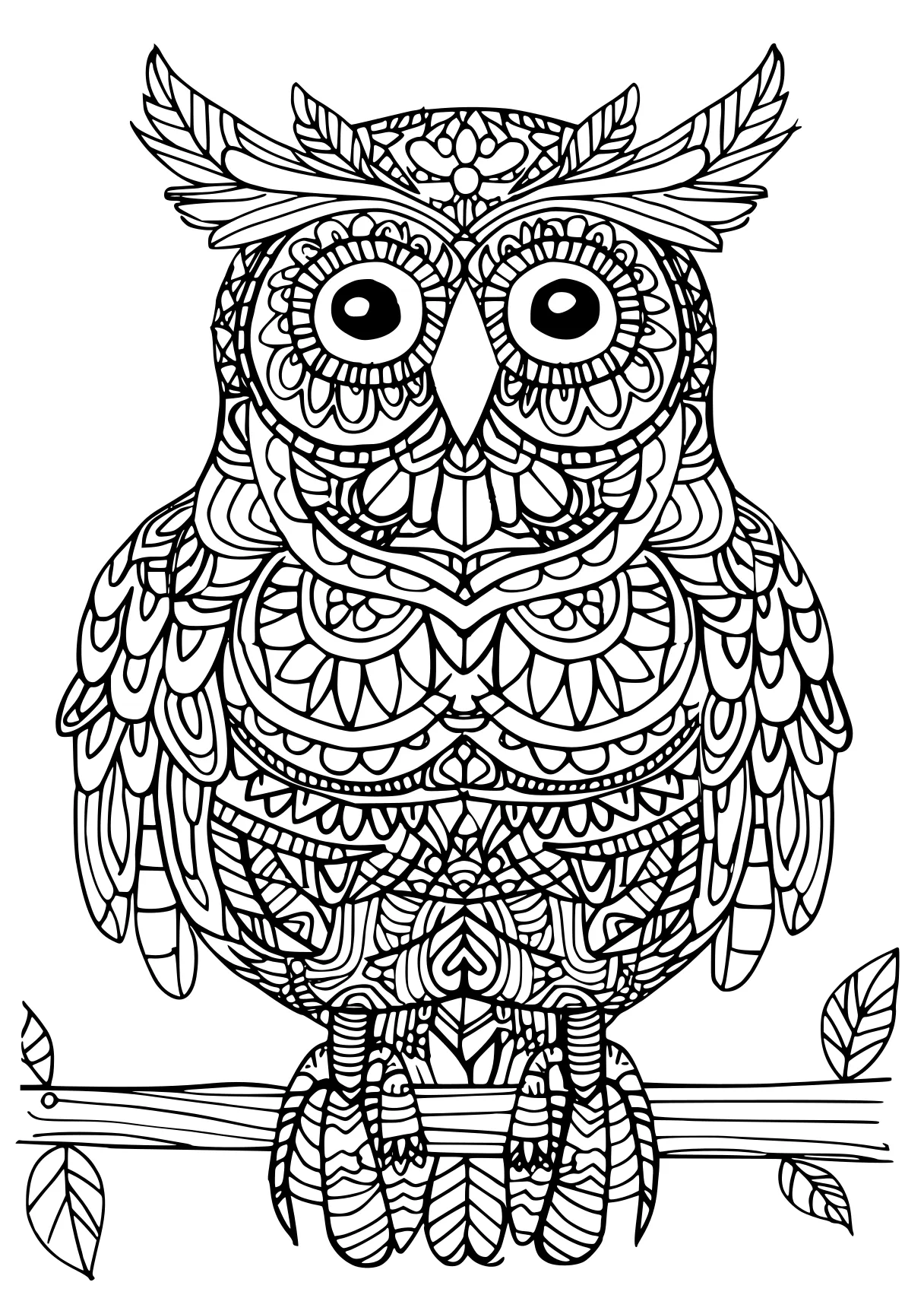 difficult coloring pages owl, zentangle, illustrator, free page downloads