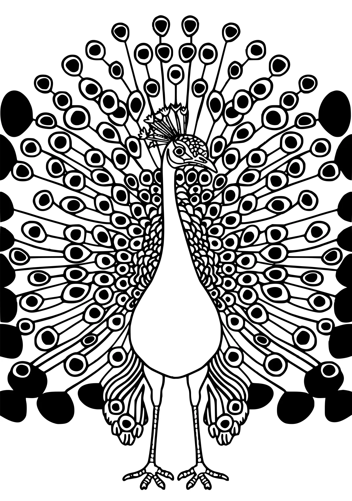 peacock coloring peacock, zentangle, rooster, bird, free page downloads