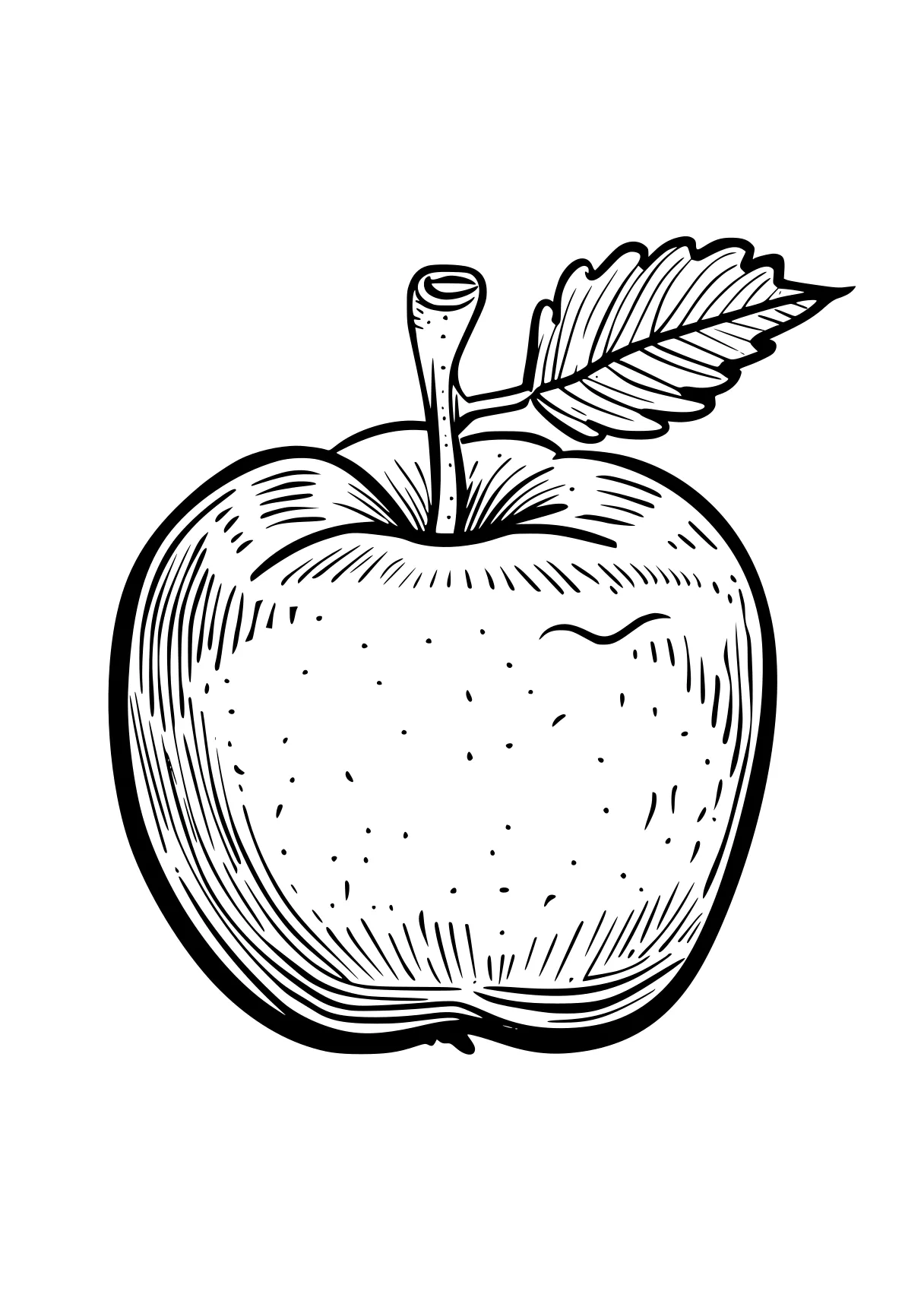 apple coloring sheet apple, illustrator, a4, acorn, pencils, free page downloads