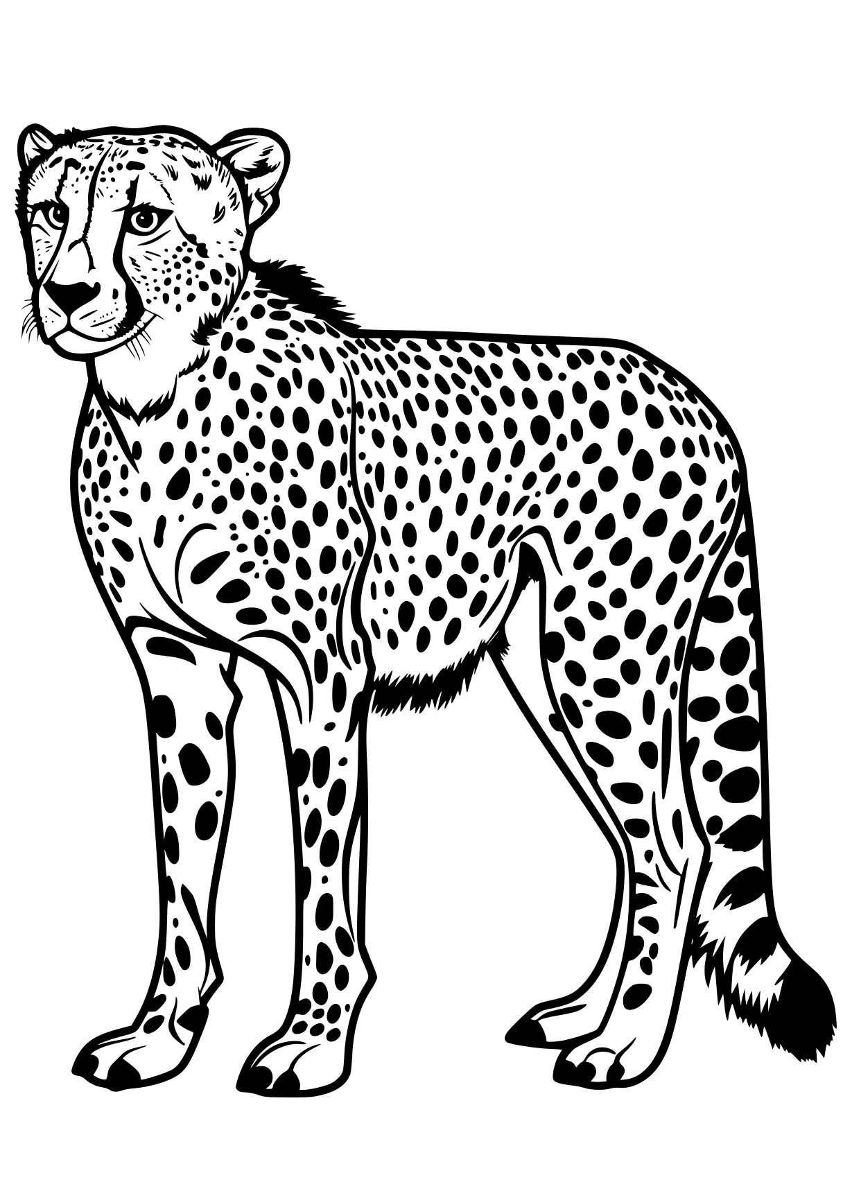 cheetah coloring page cheetah, jaguar, leopard, panther, lion, free downloads