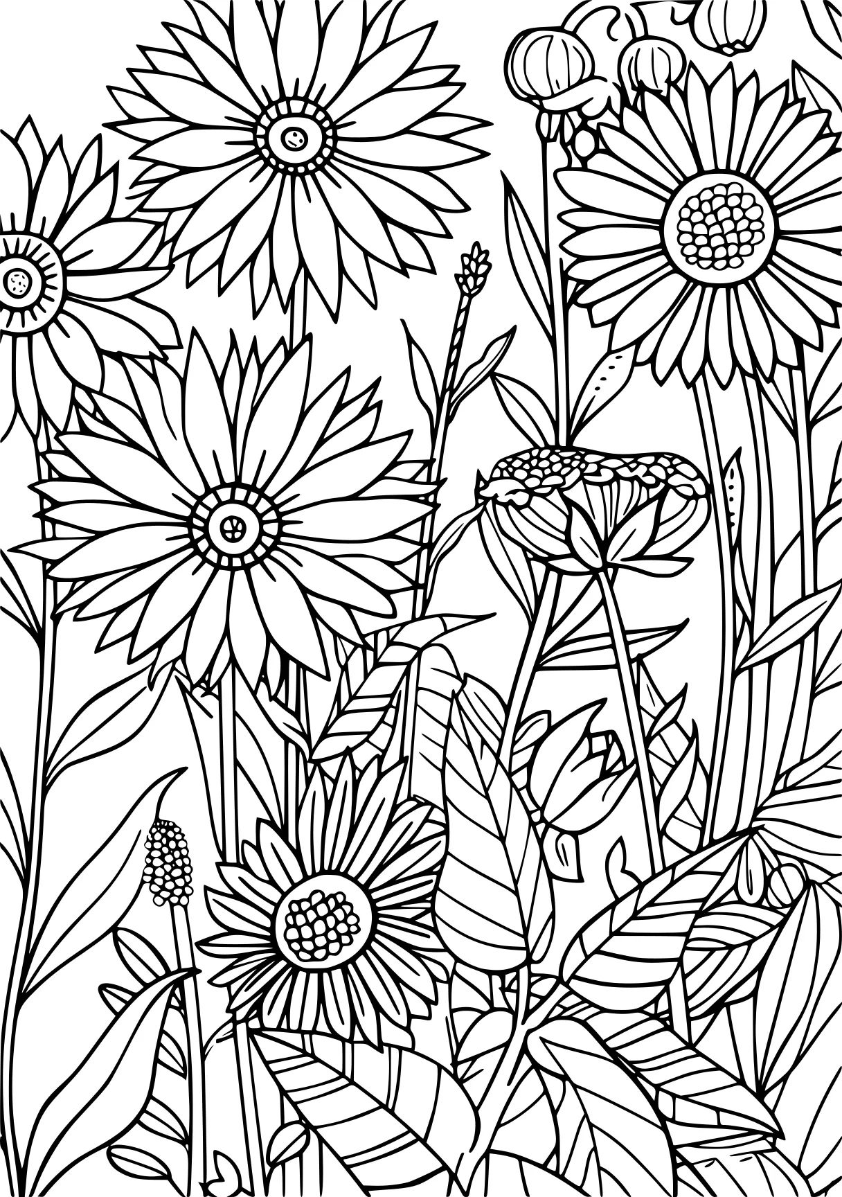 nature coloring pages, pattern, colouring, zentangle, free page downloads