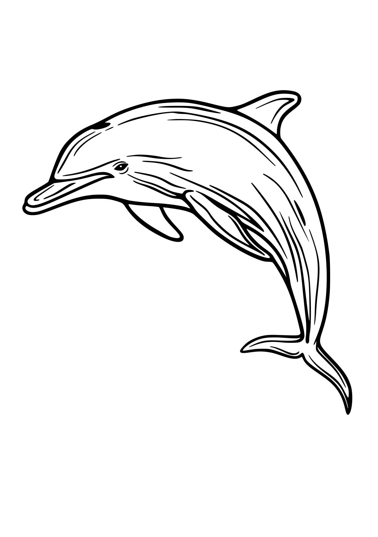 dolphin coloring sheet dolphin, whale, whales, narwhal, orca, free page downloads