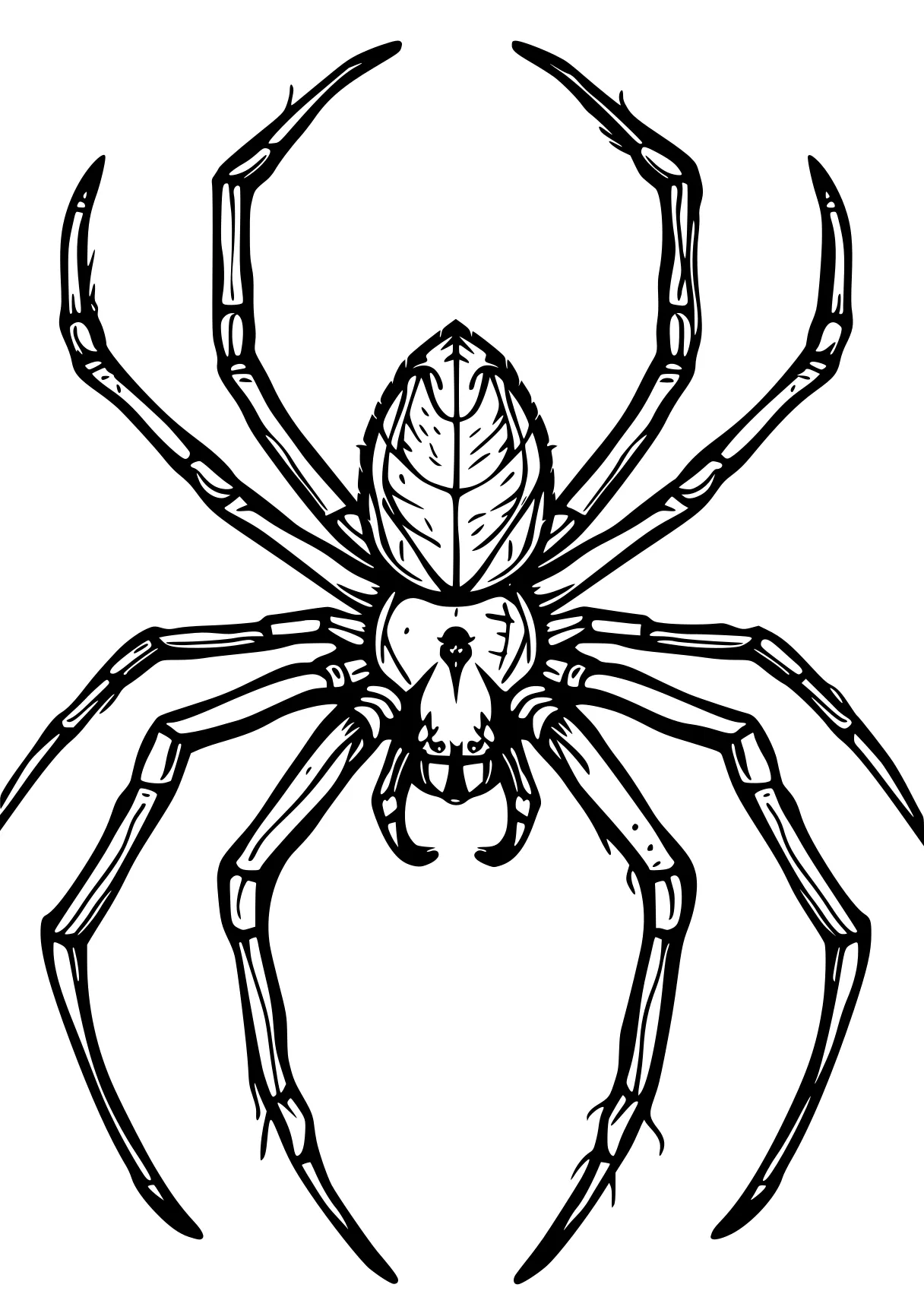 spider coloring page spider, crawler, insect, adult, scorpion, free downloads