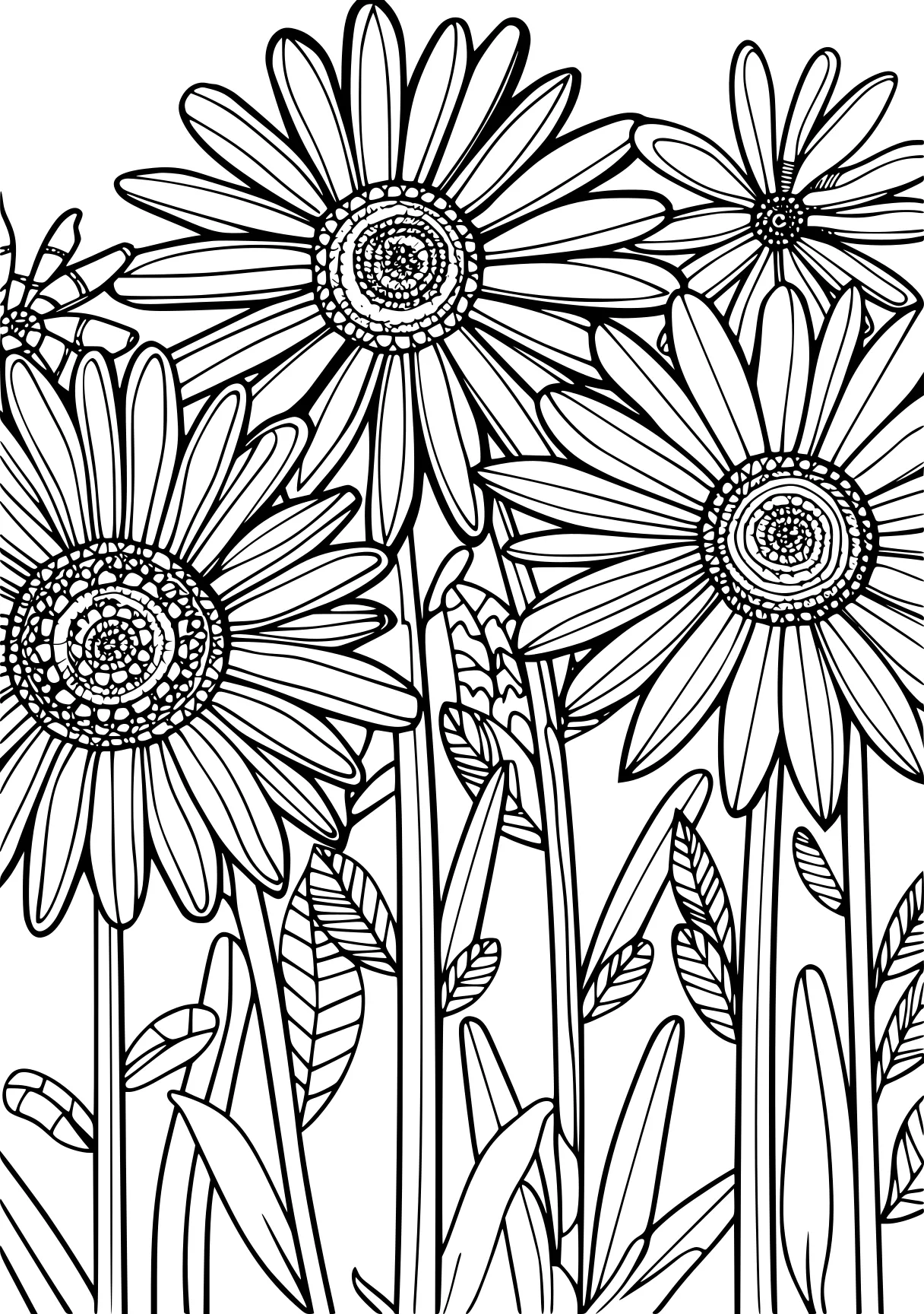 flower coloring, zentangle, colouring, sunflower, free page downloads