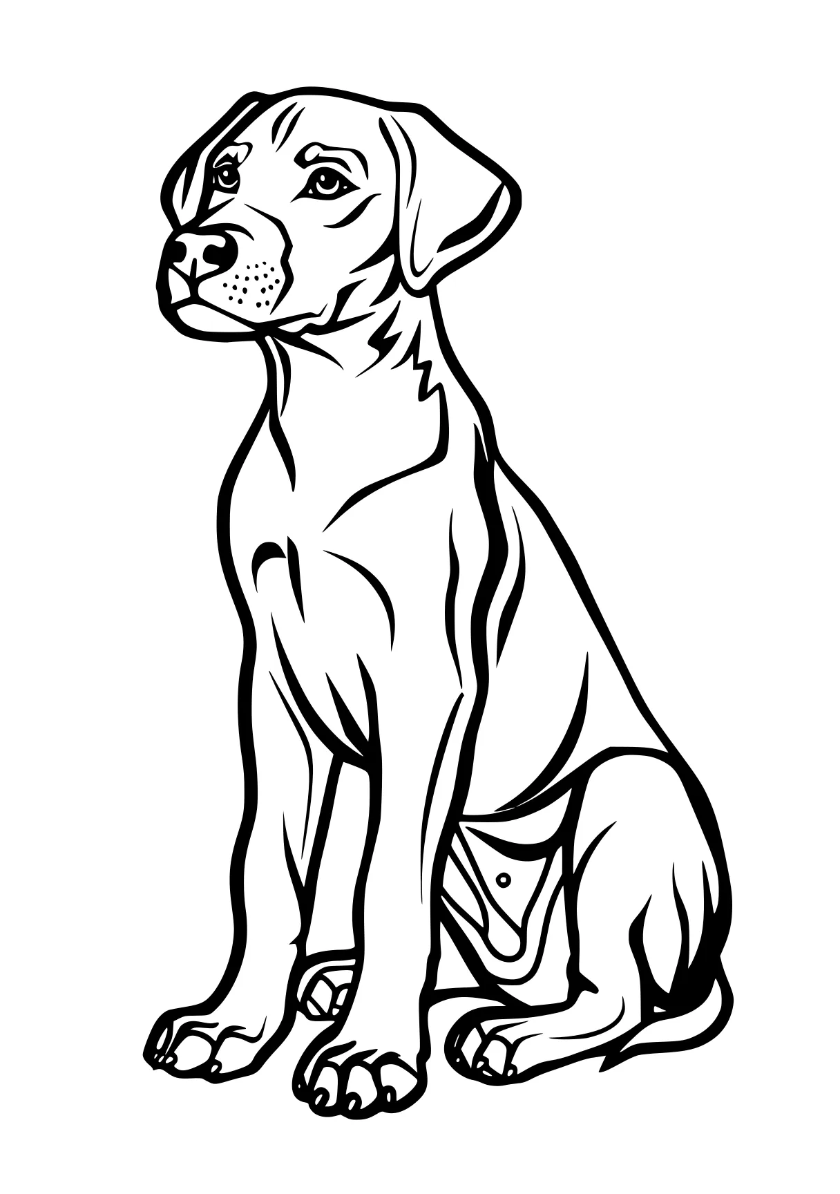 dog coloring sheet retriever, puppy, dog, chihuahua, clifford, free page downloads