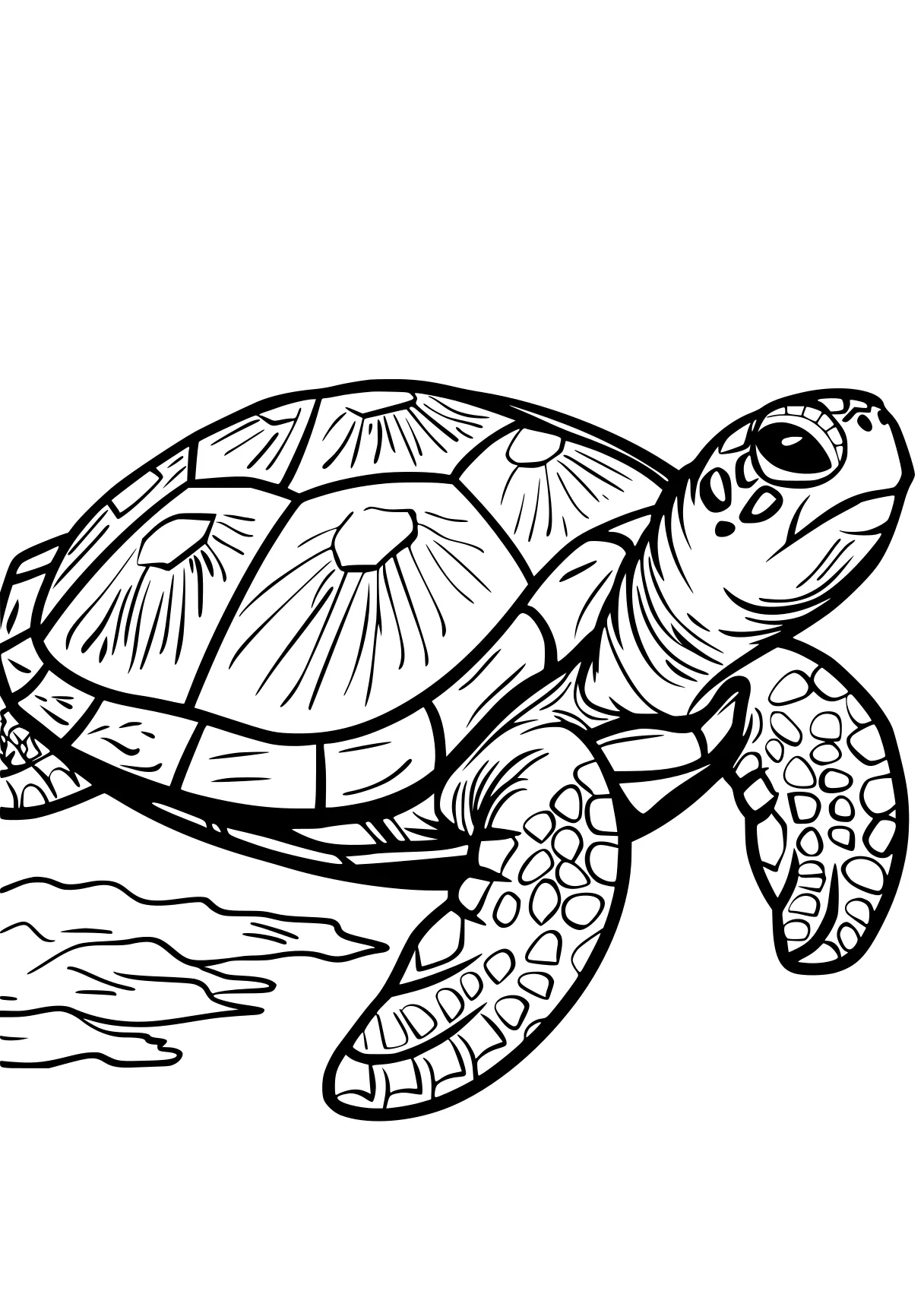 turtle coloring sheet turtle, turtles, illustrator, free page downloads