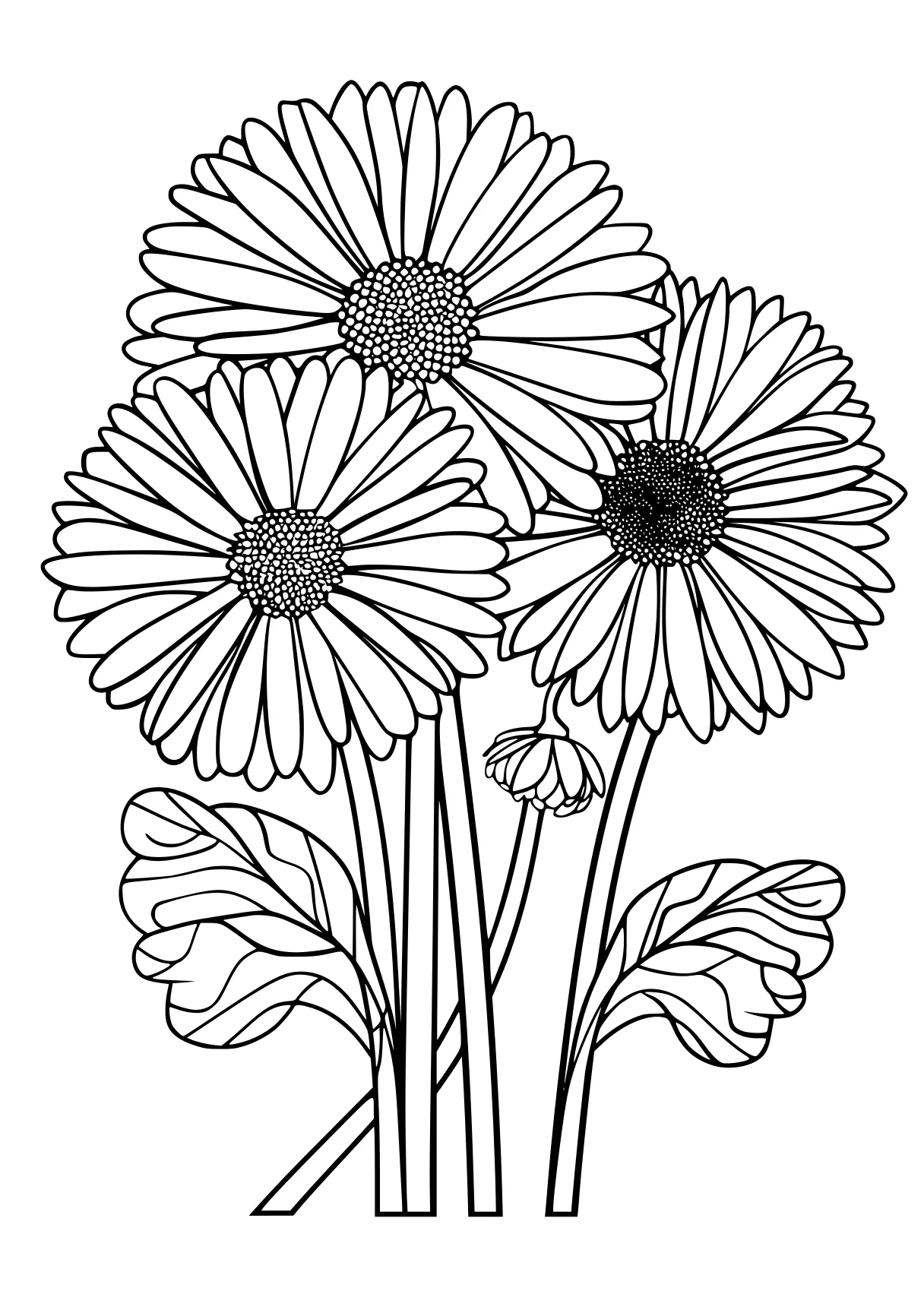 printable pictures flower, flowers, daisy, free coloring page downloads