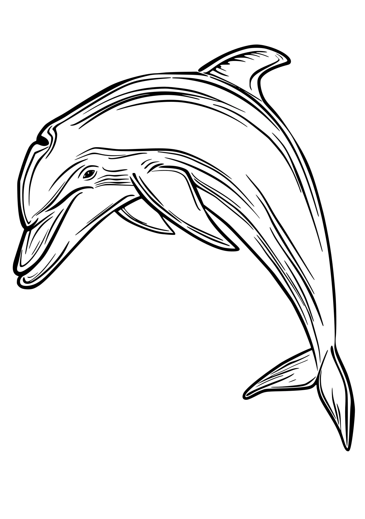 dolphin coloring sheet dolphin, whale, orca, mosasaurus, shark, free page downloads