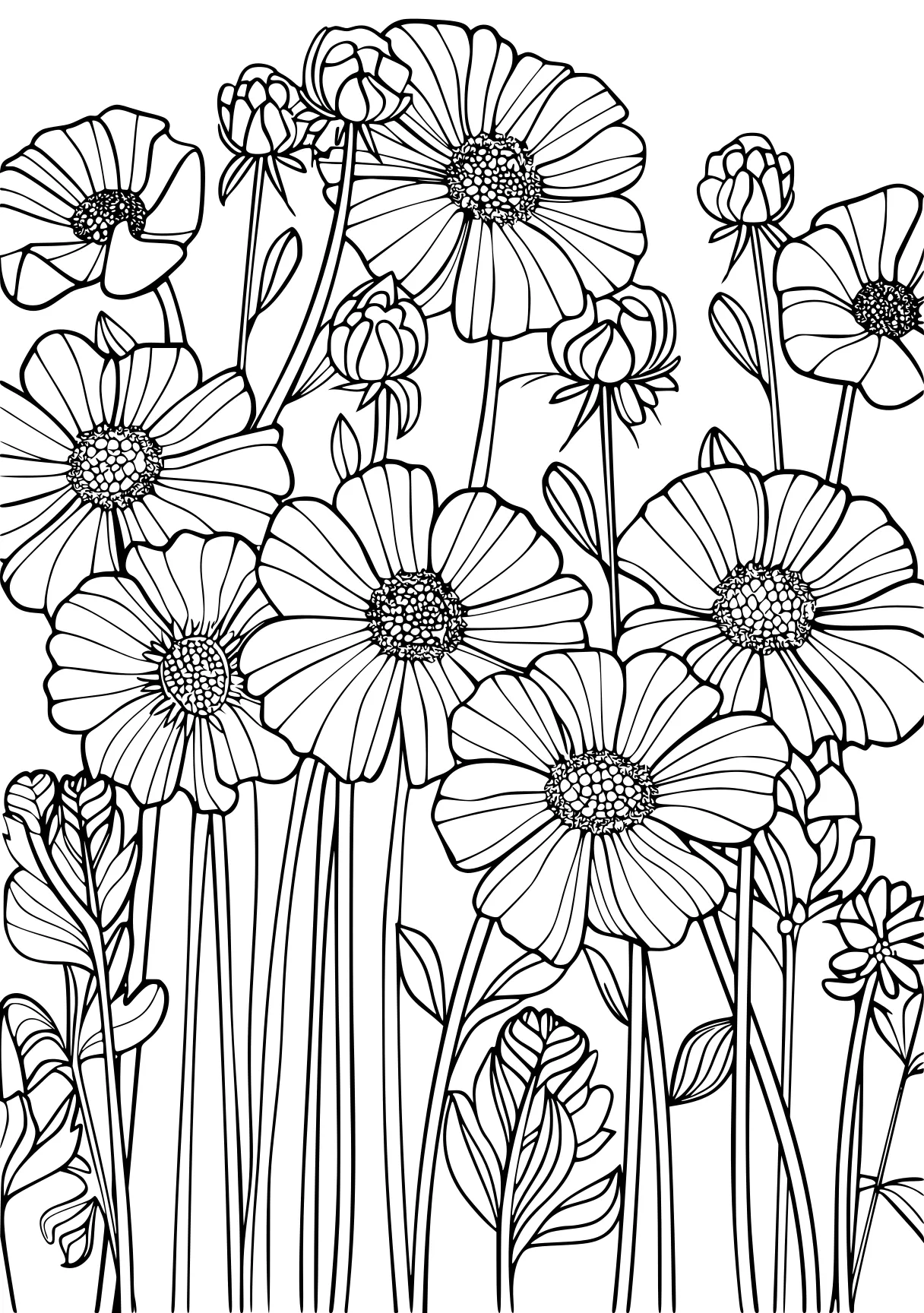 coloring pages printable adult, printables, zentangle, colouring, free page downloads