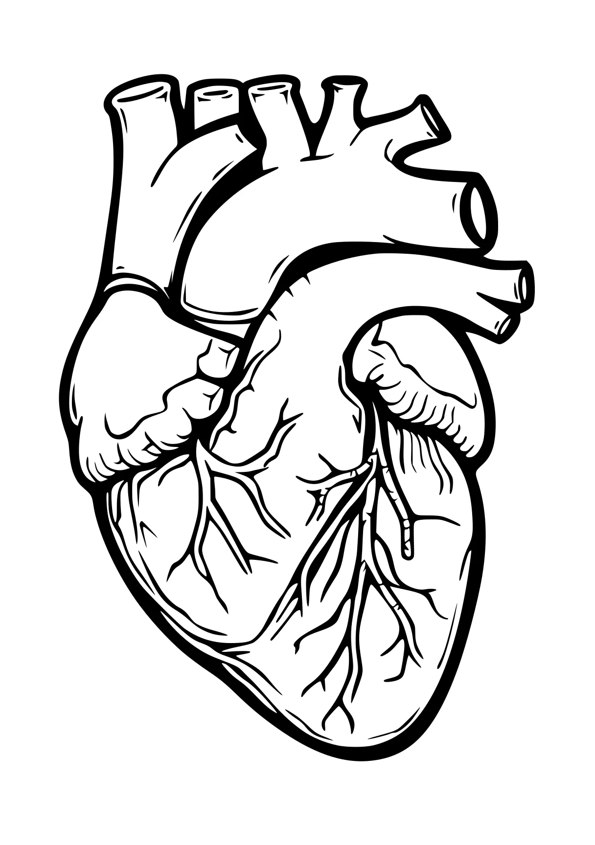 heart coloring pages heart, hand, anatomy, care, design, free page downloads