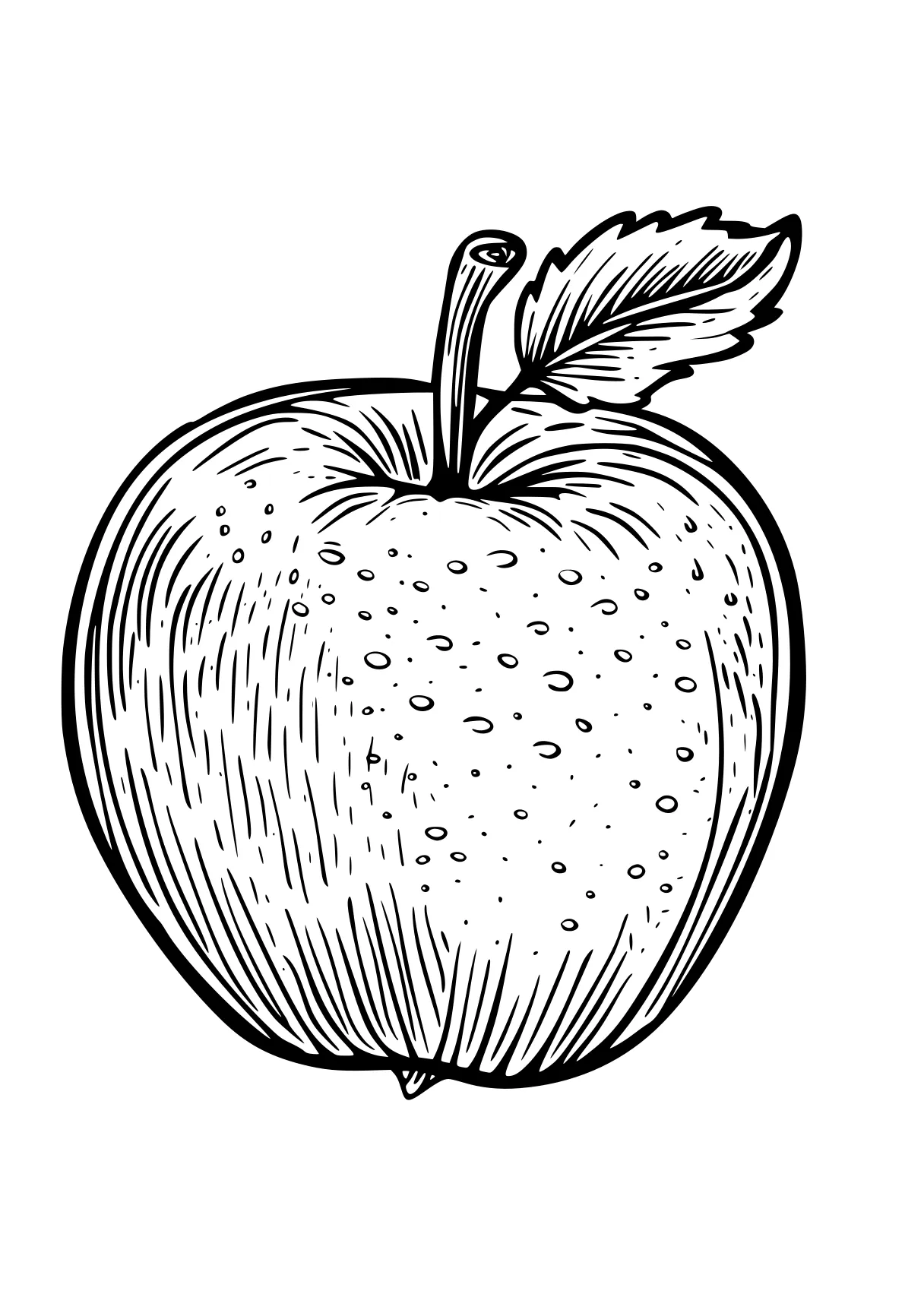 apple coloring sheet apple, vegetable, fruit, wall, acorn, free page downloads