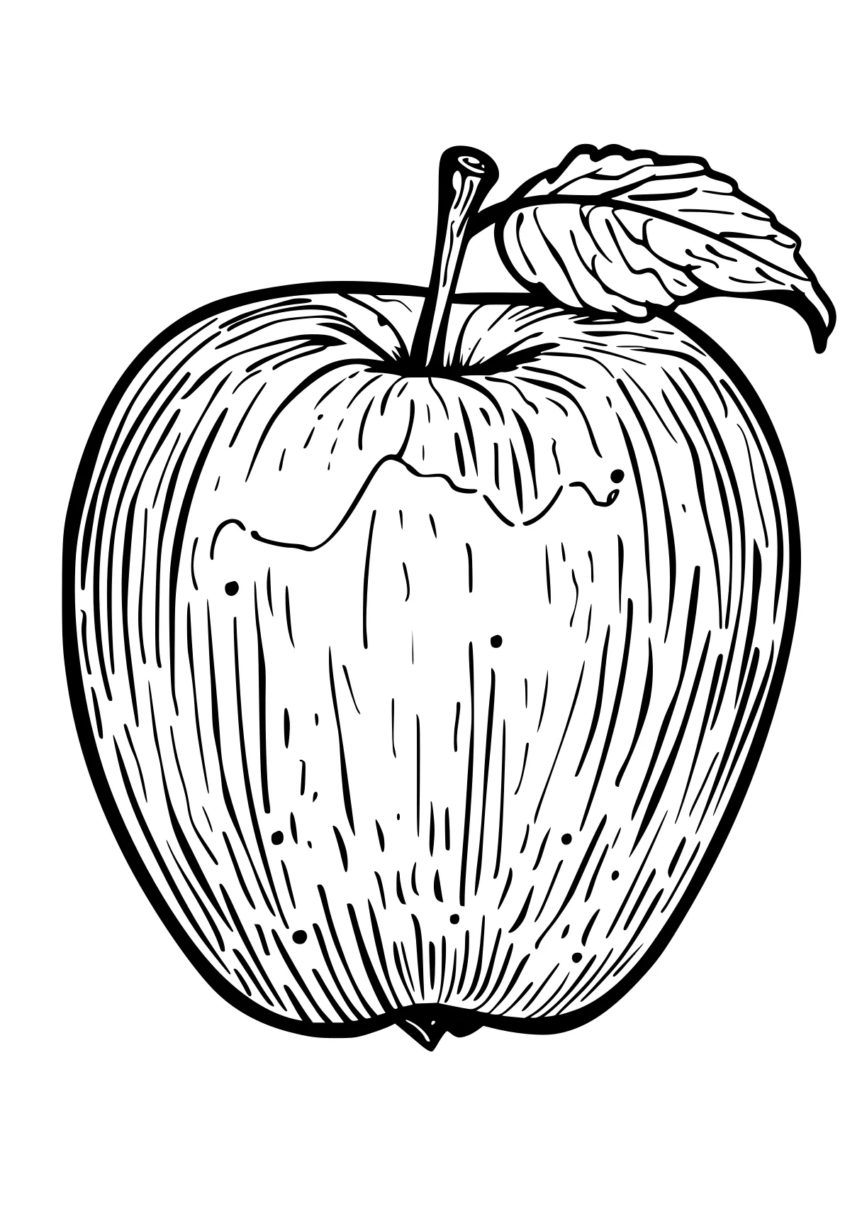 apple coloring page apple, vegetable, fruit, acorn, wall, free downloads