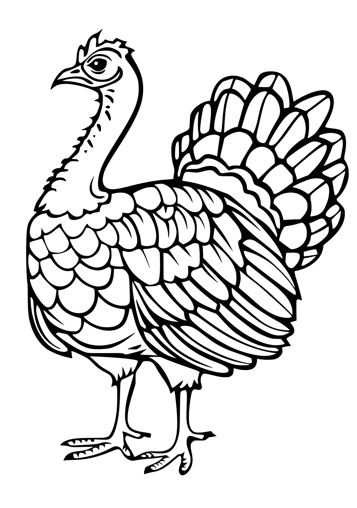 turkey pictures to color rooster, turkey, thanksgiving, size, free coloring page downloads