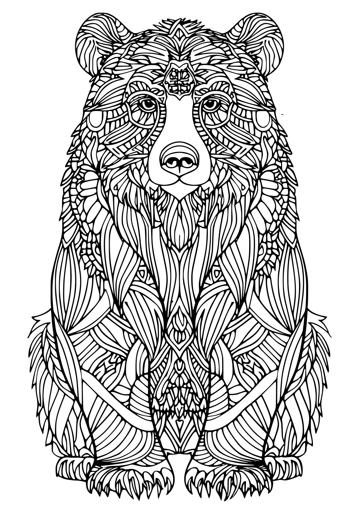 coloring pages for adults animals owl, raccoon, bear, free page downloads